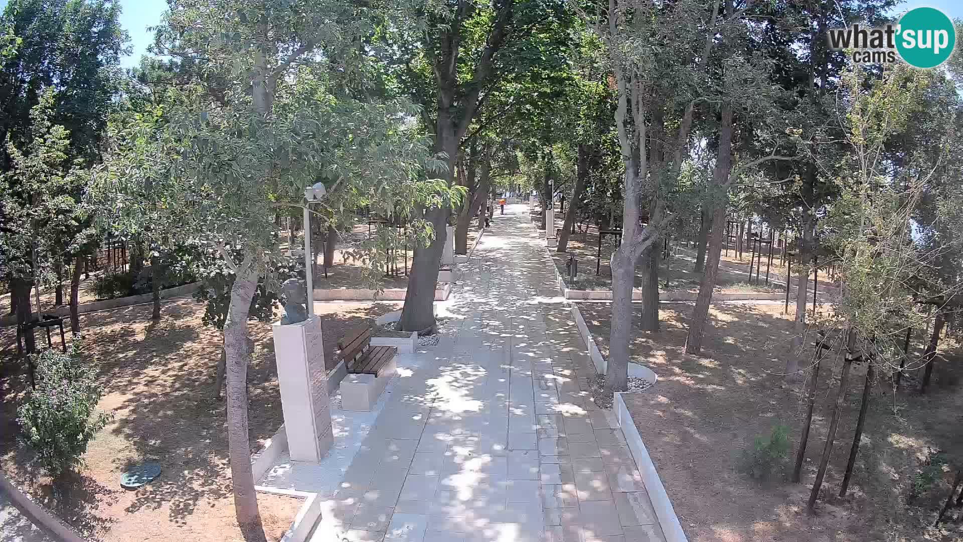 Webcam Parco degli Scrittori Segna – Diretta sul Mare