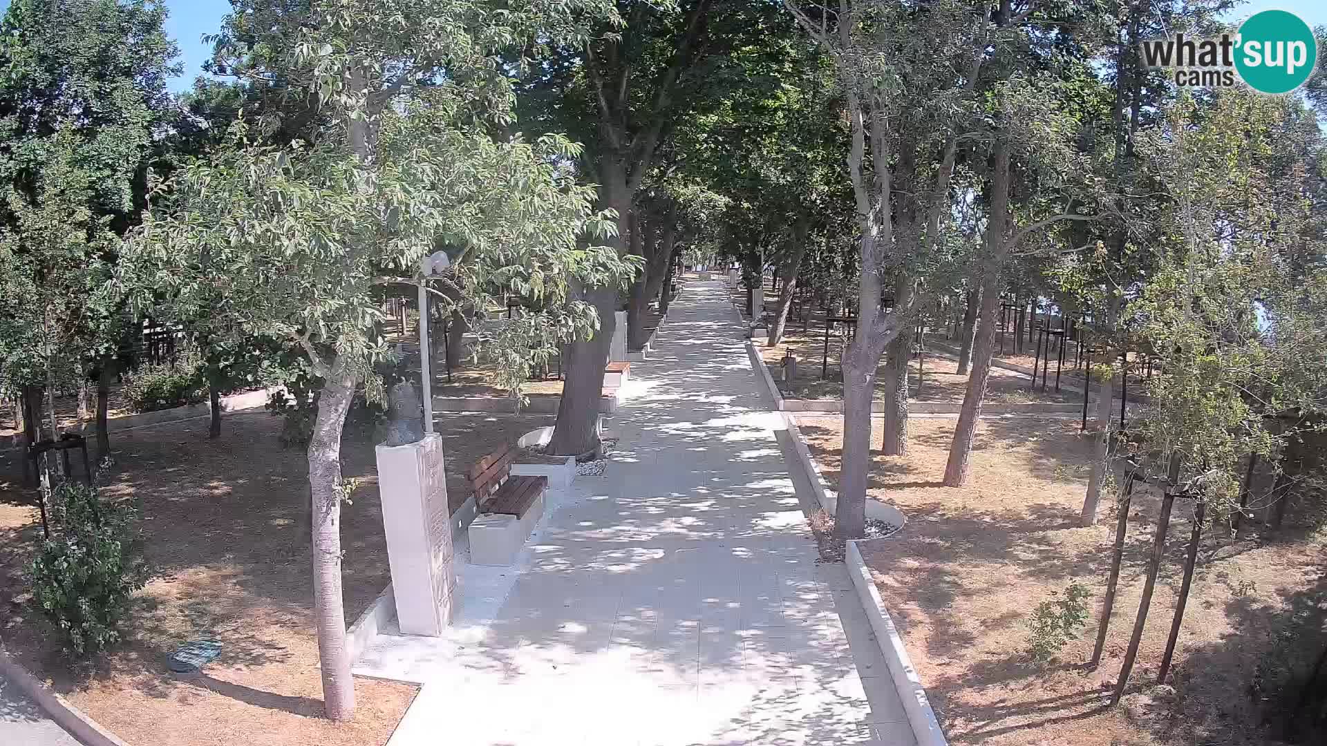 Webcam Parco degli Scrittori Segna – Diretta sul Mare