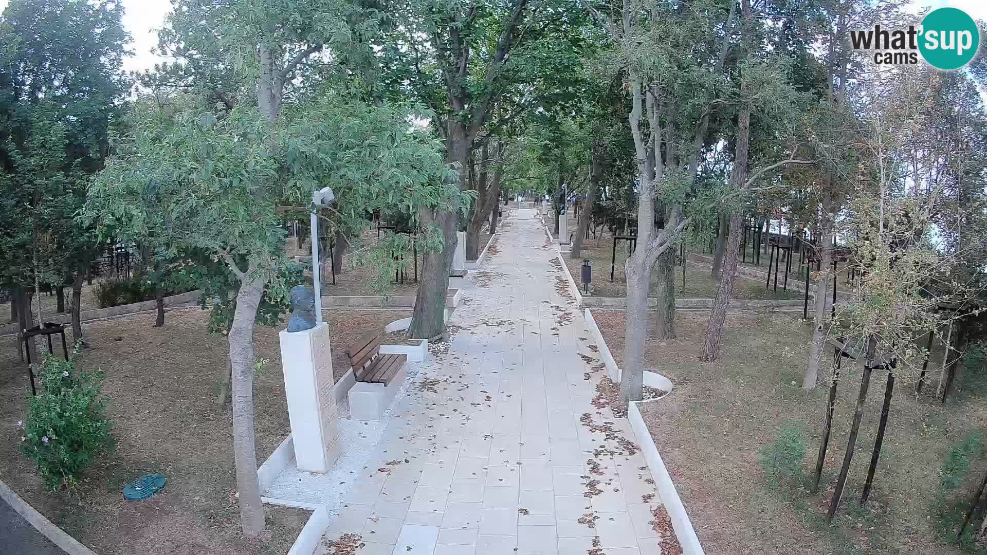 Webcam Parco degli Scrittori Segna – Diretta sul Mare