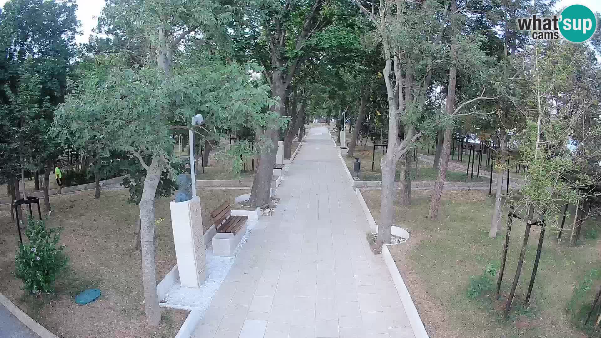 Webcam Parco degli Scrittori Segna – Diretta sul Mare