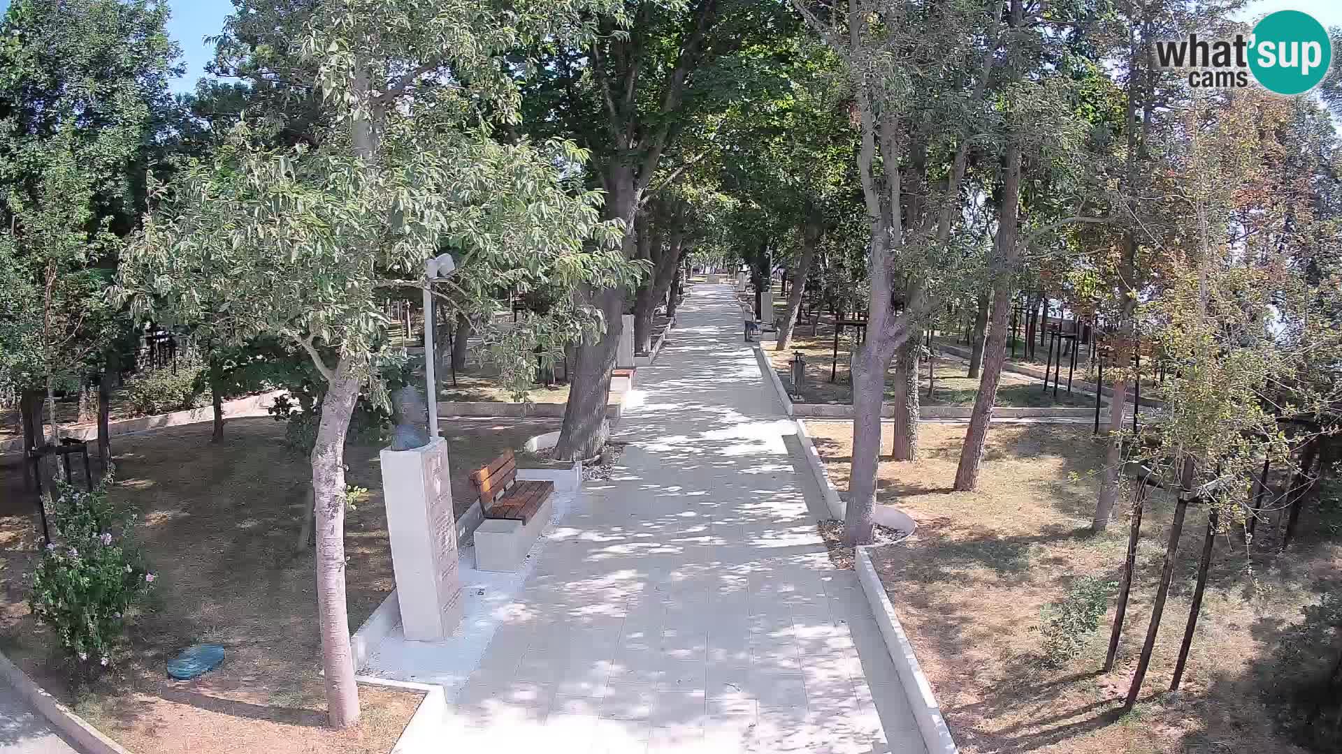 Webcam Parco degli Scrittori Segna – Diretta sul Mare
