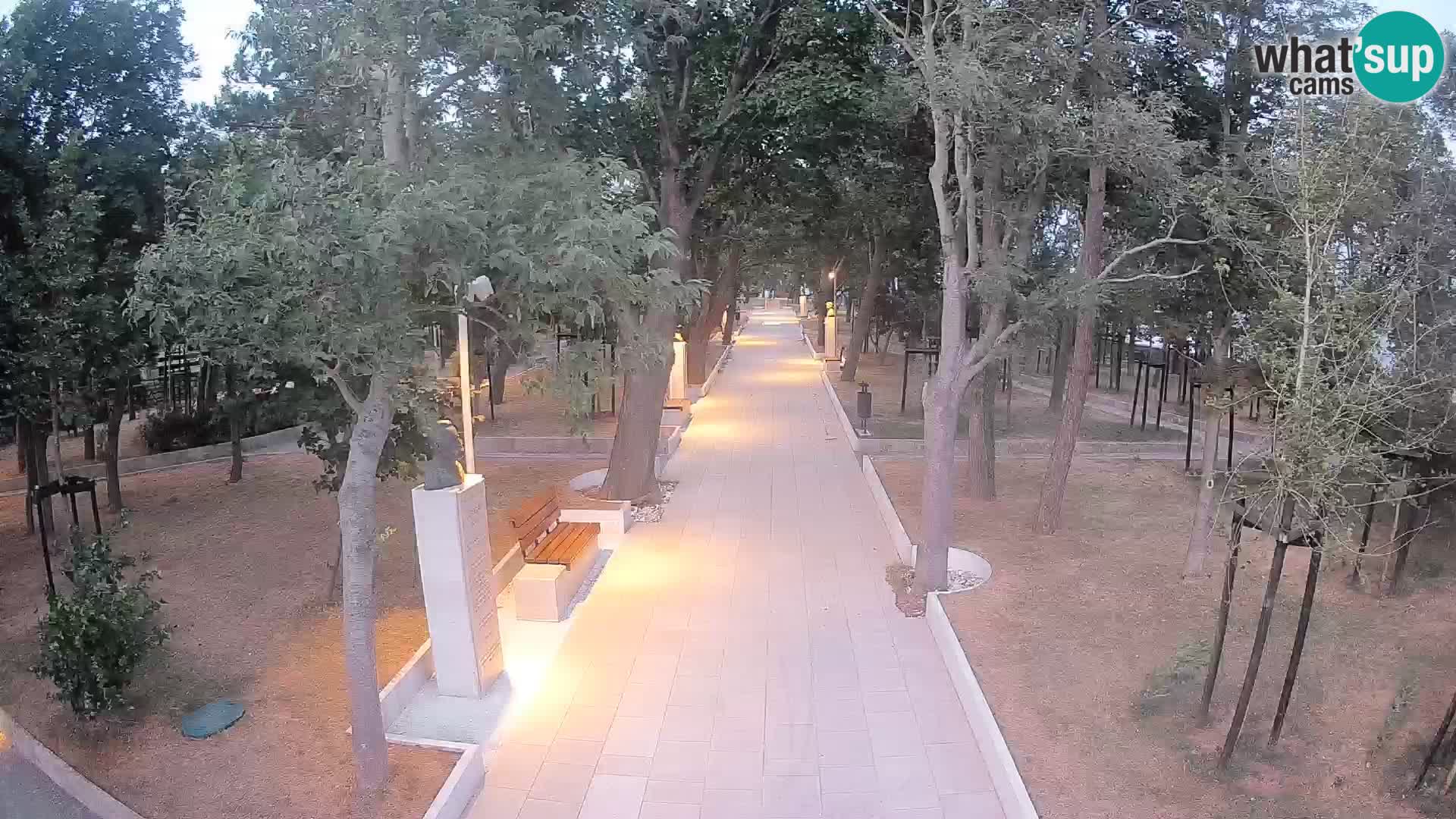 Webcam Parco degli Scrittori Segna – Diretta sul Mare