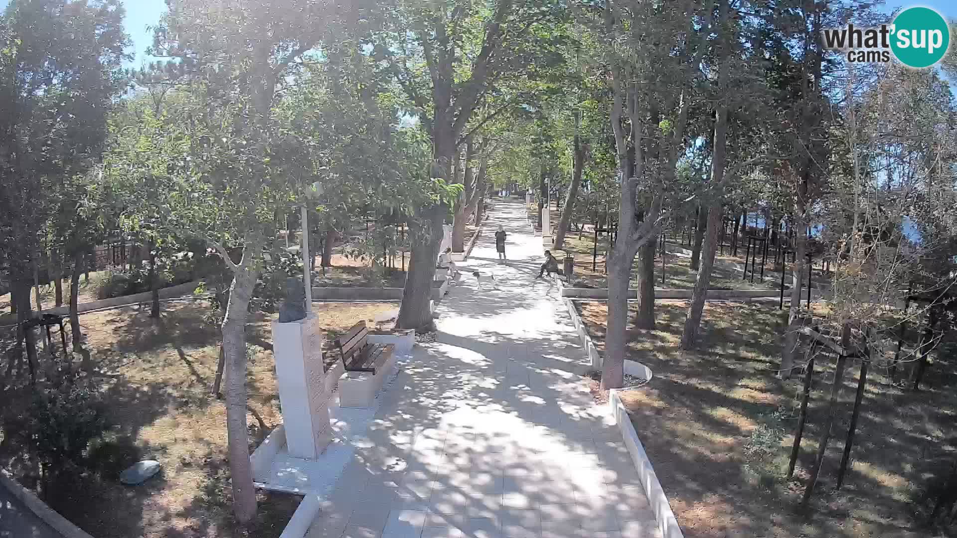 Webcam Parco degli Scrittori Segna – Diretta sul Mare