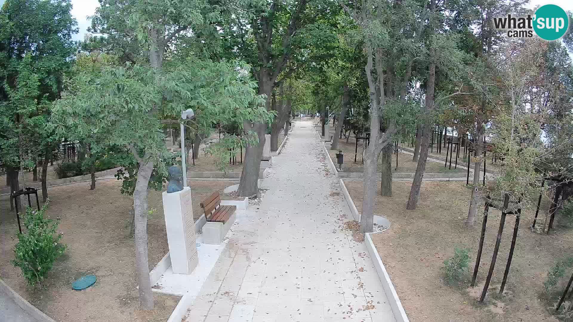 Webcam Parco degli Scrittori Segna – Diretta sul Mare