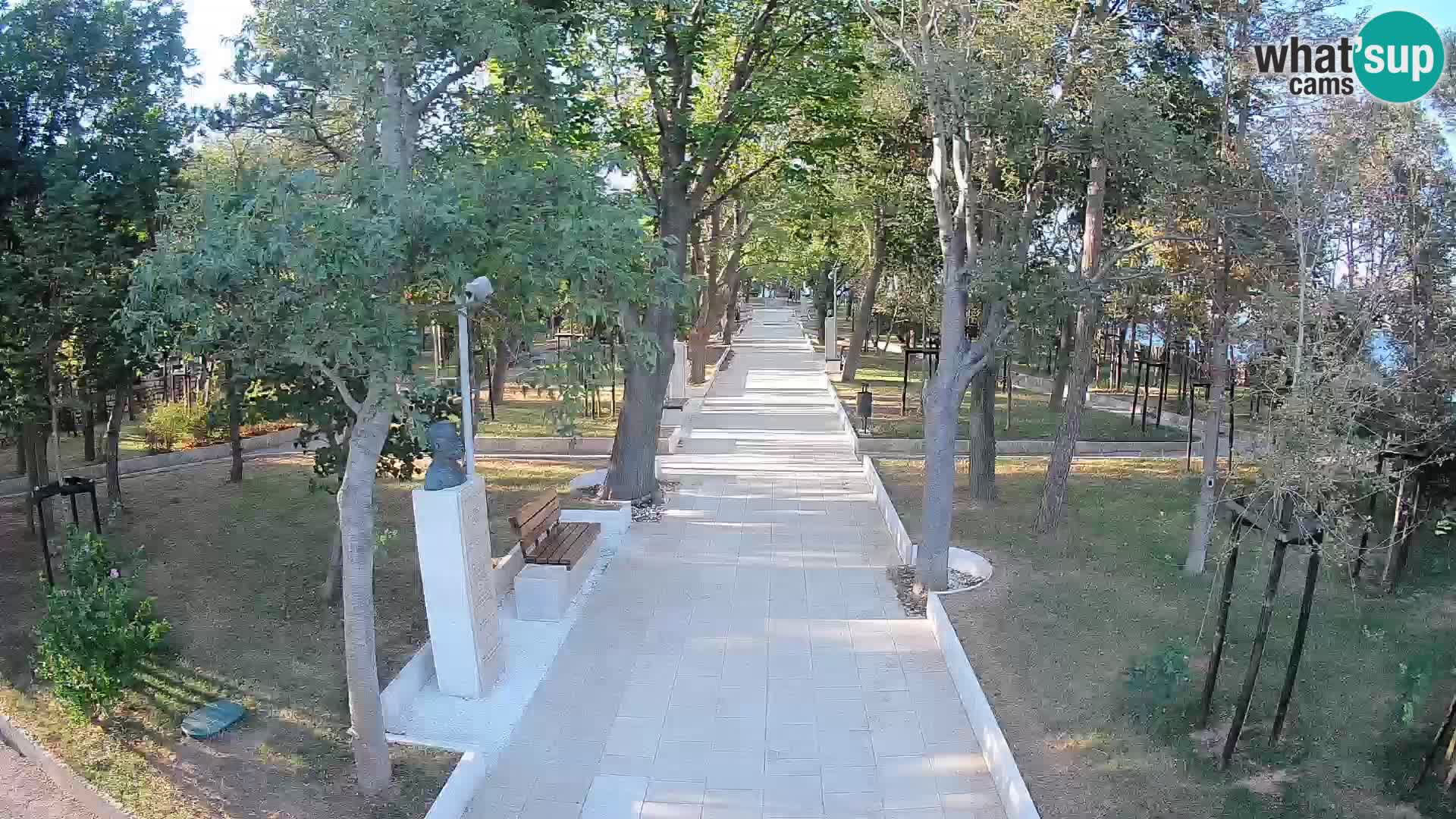 Webcam Parco degli Scrittori Segna – Diretta sul Mare