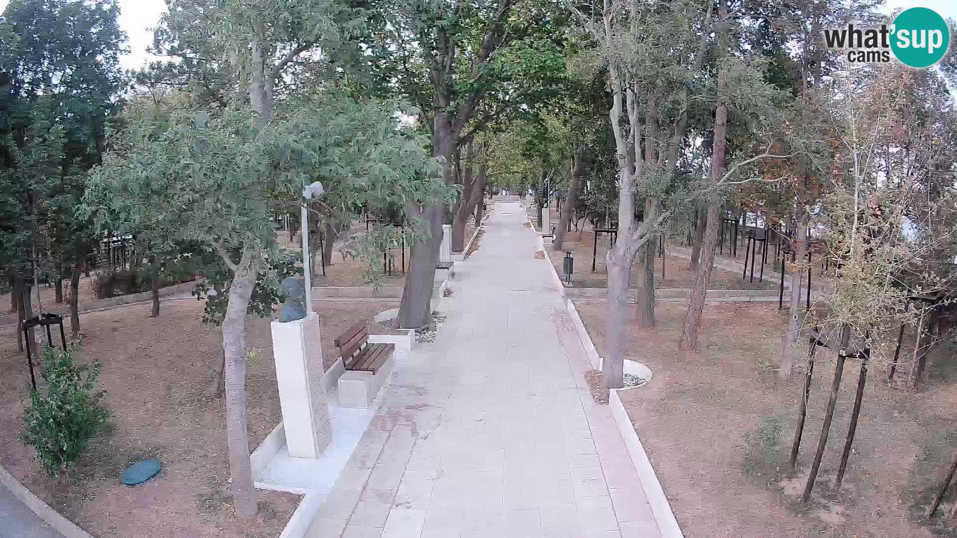 Webcam Parco degli Scrittori Segna – Diretta sul Mare