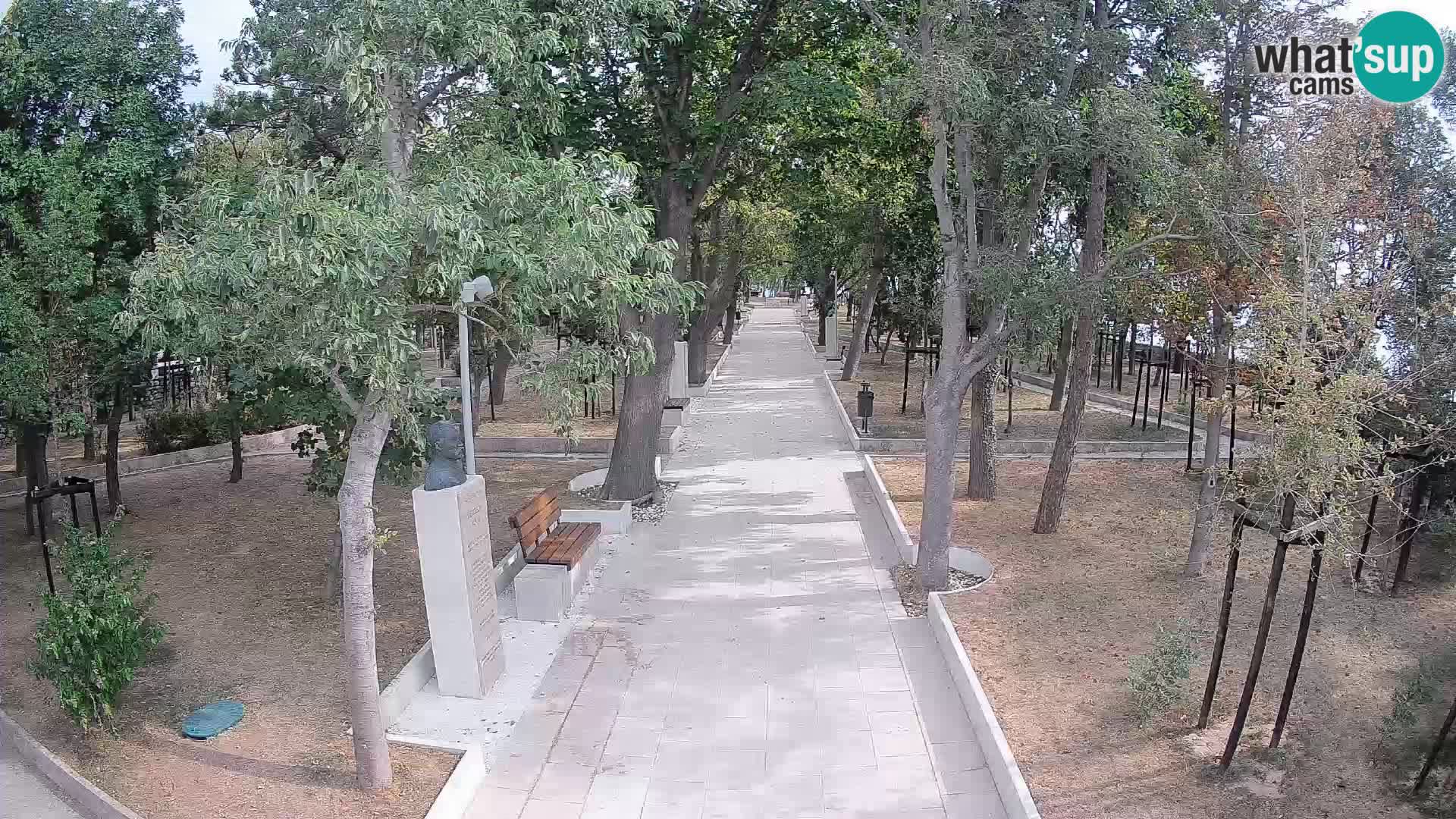 Webcam Parco degli Scrittori Segna – Diretta sul Mare