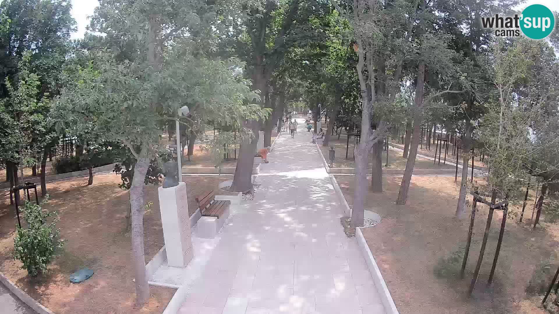 Webcam Schriftstellerpark Senj – Live am Meer