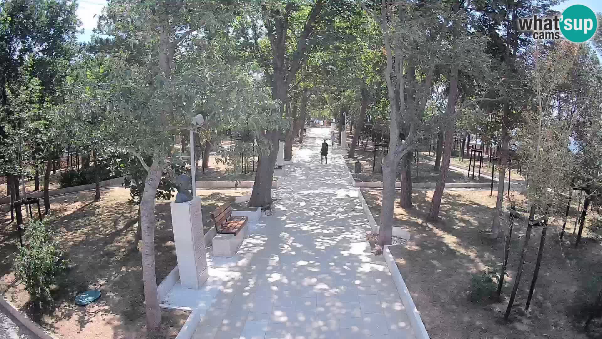 Webcam Parco degli Scrittori Segna – Diretta sul Mare