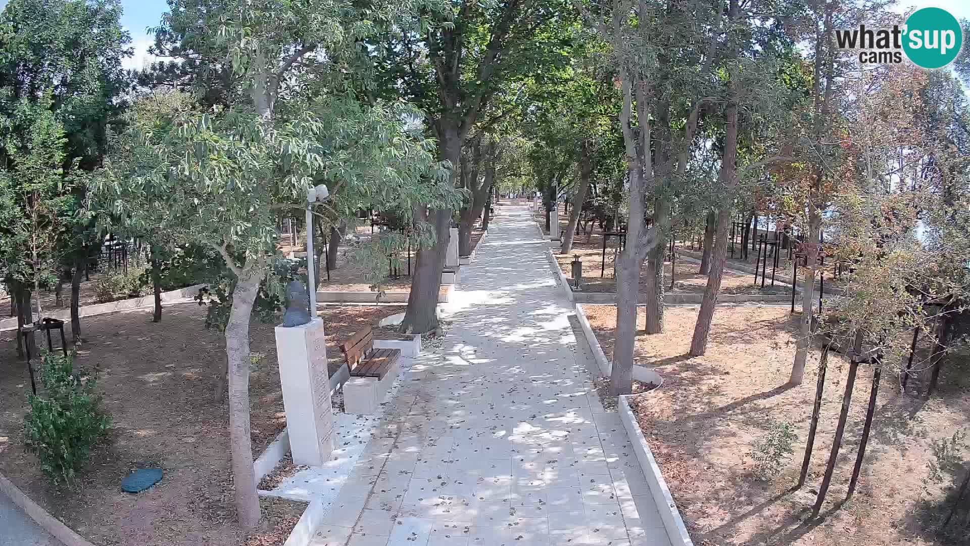 Webcam Parco degli Scrittori Segna – Diretta sul Mare