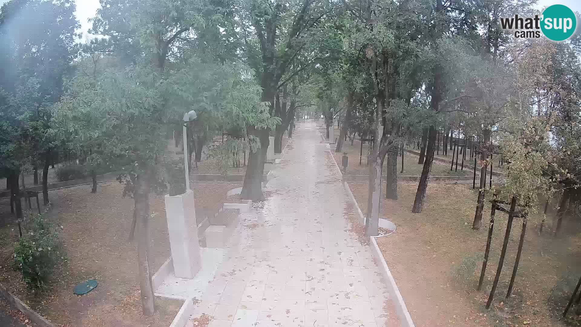 Webcam Parco degli Scrittori Segna – Diretta sul Mare