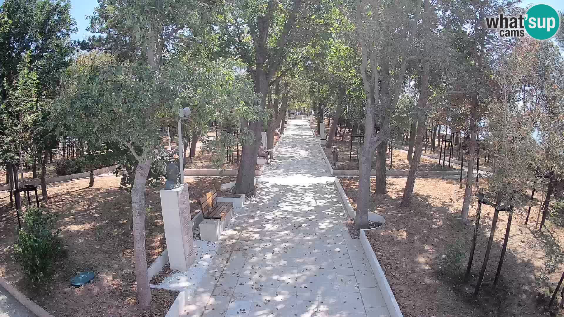 Webcam Parco degli Scrittori Segna – Diretta sul Mare