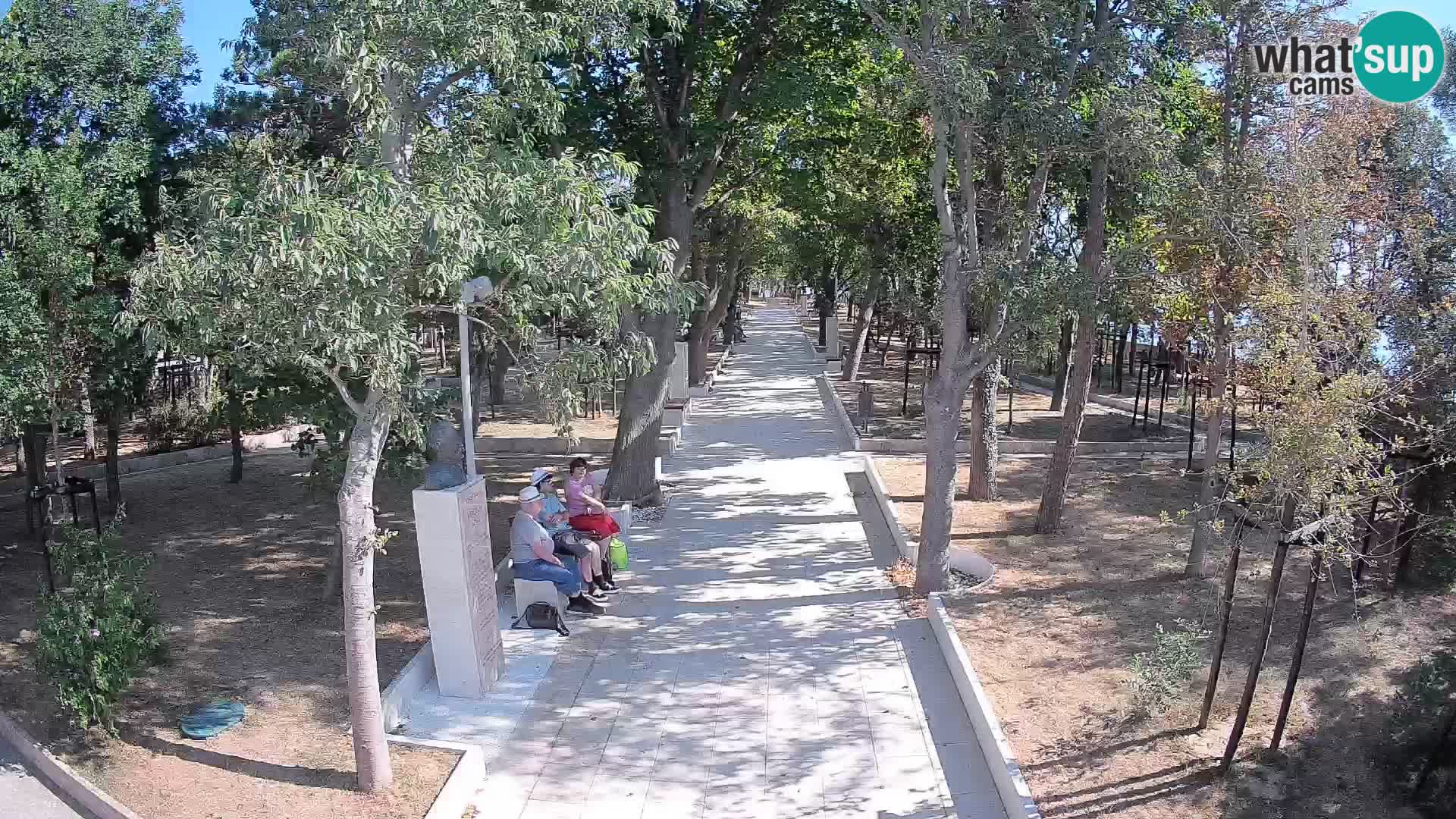 Webcam Parco degli Scrittori Segna – Diretta sul Mare