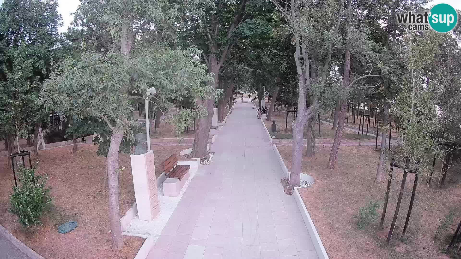 Webcam Parco degli Scrittori Segna – Diretta sul Mare