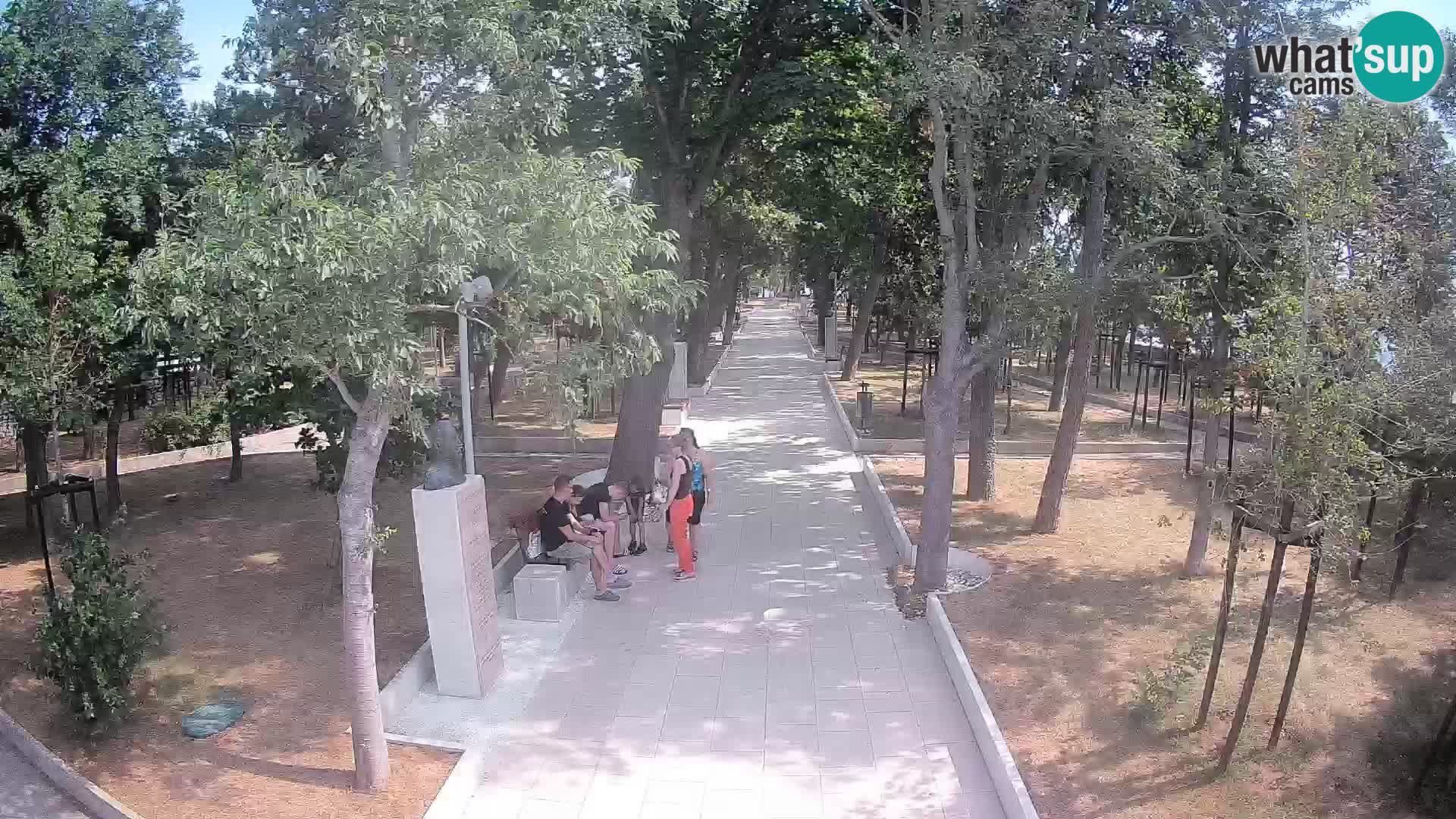 Webcam Parco degli Scrittori Segna – Diretta sul Mare