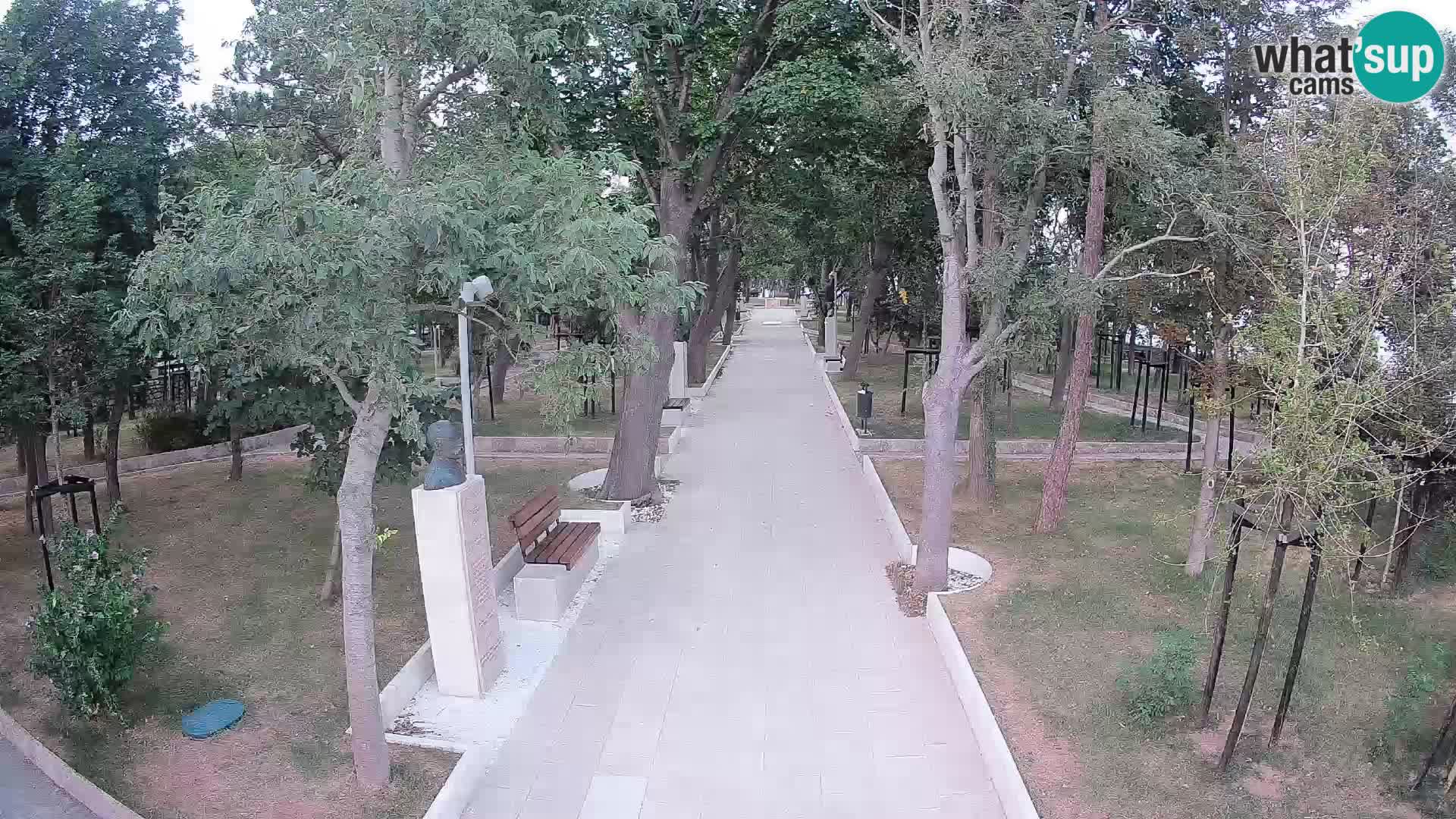 Webcam Parco degli Scrittori Segna – Diretta sul Mare