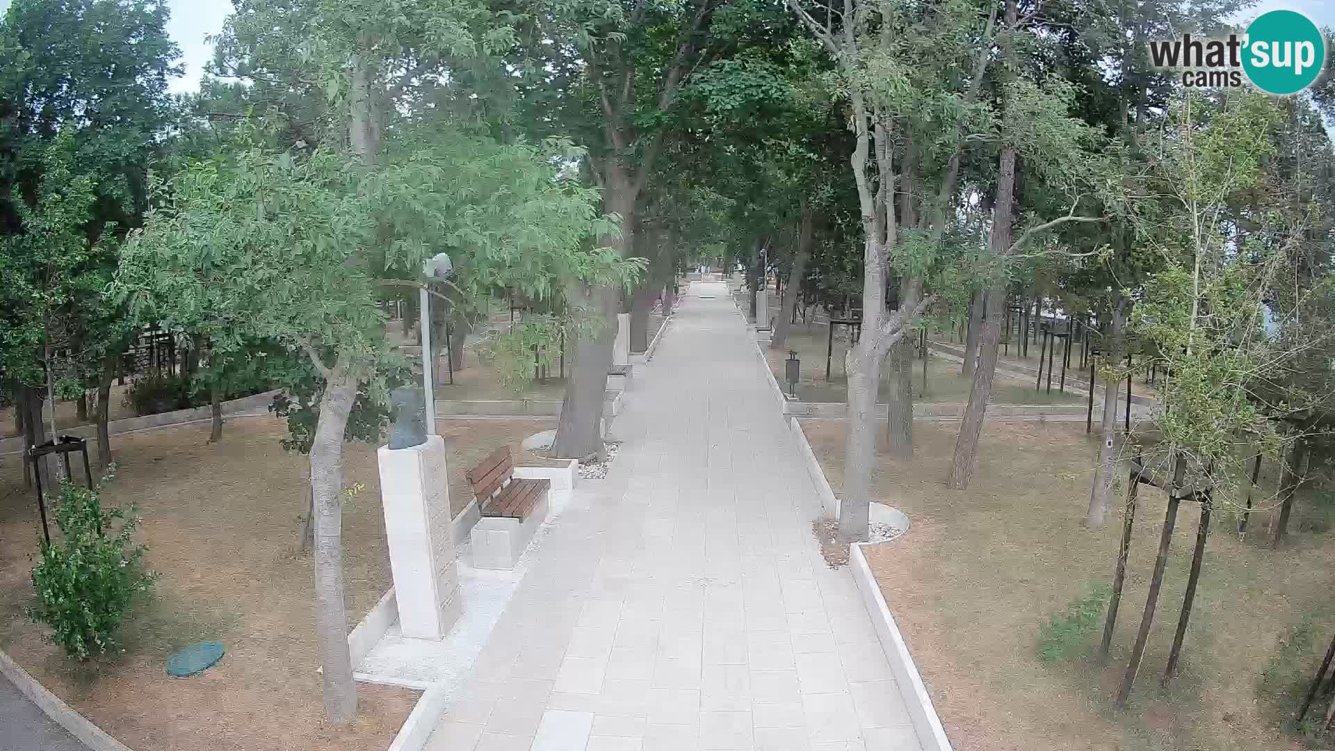 Webcam Parco degli Scrittori Segna – Diretta sul Mare