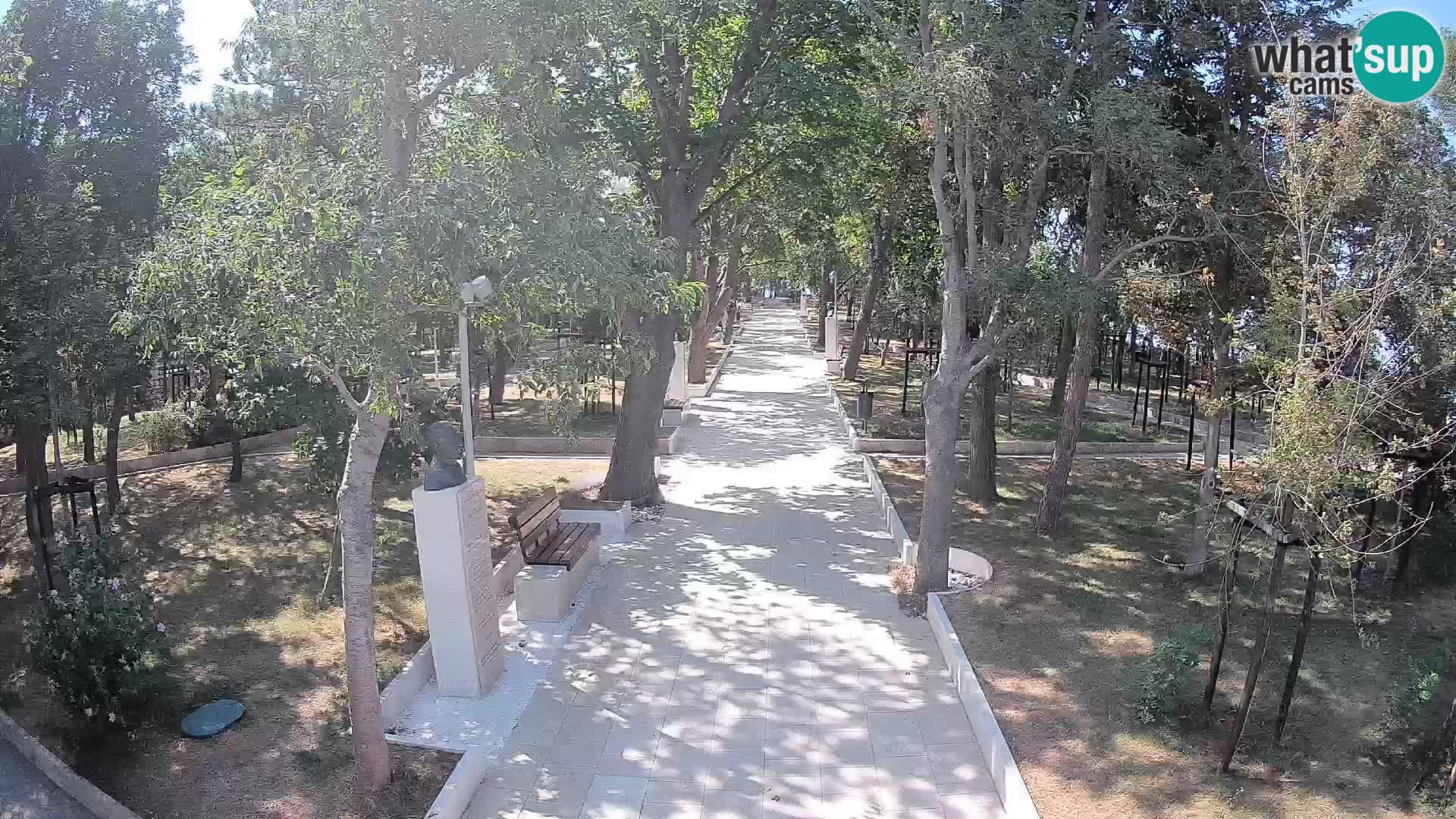 Webcam Parco degli Scrittori Segna – Diretta sul Mare