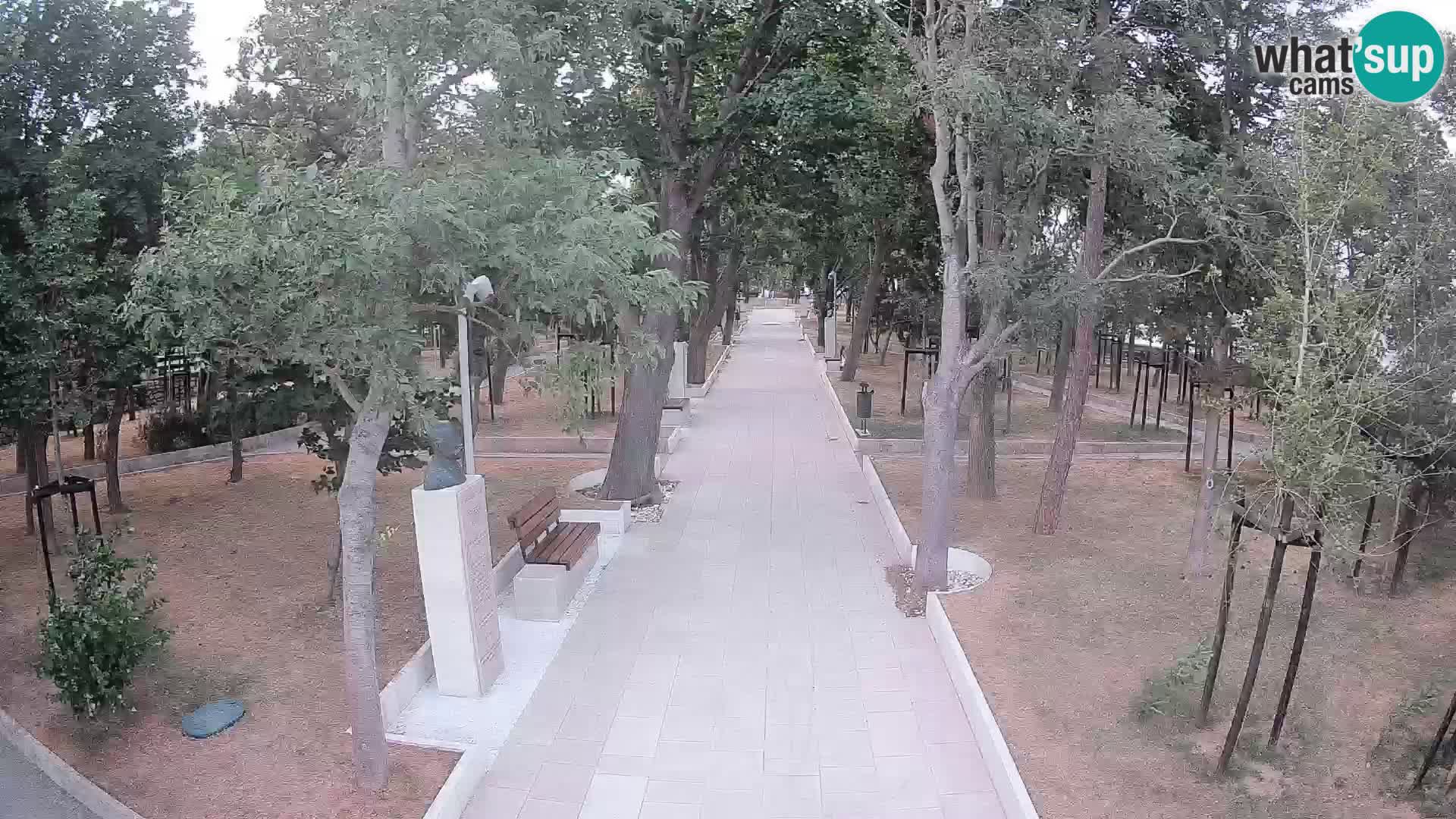 Webcam Schriftstellerpark Senj – Live am Meer