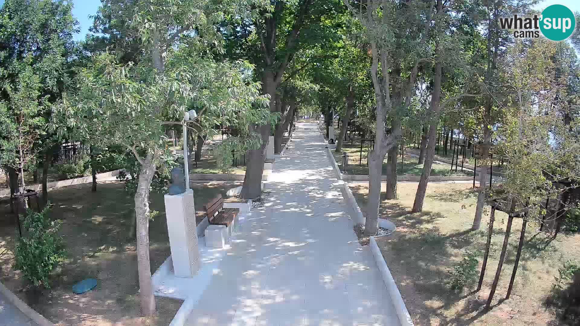 Webcam Parco degli Scrittori Segna – Diretta sul Mare