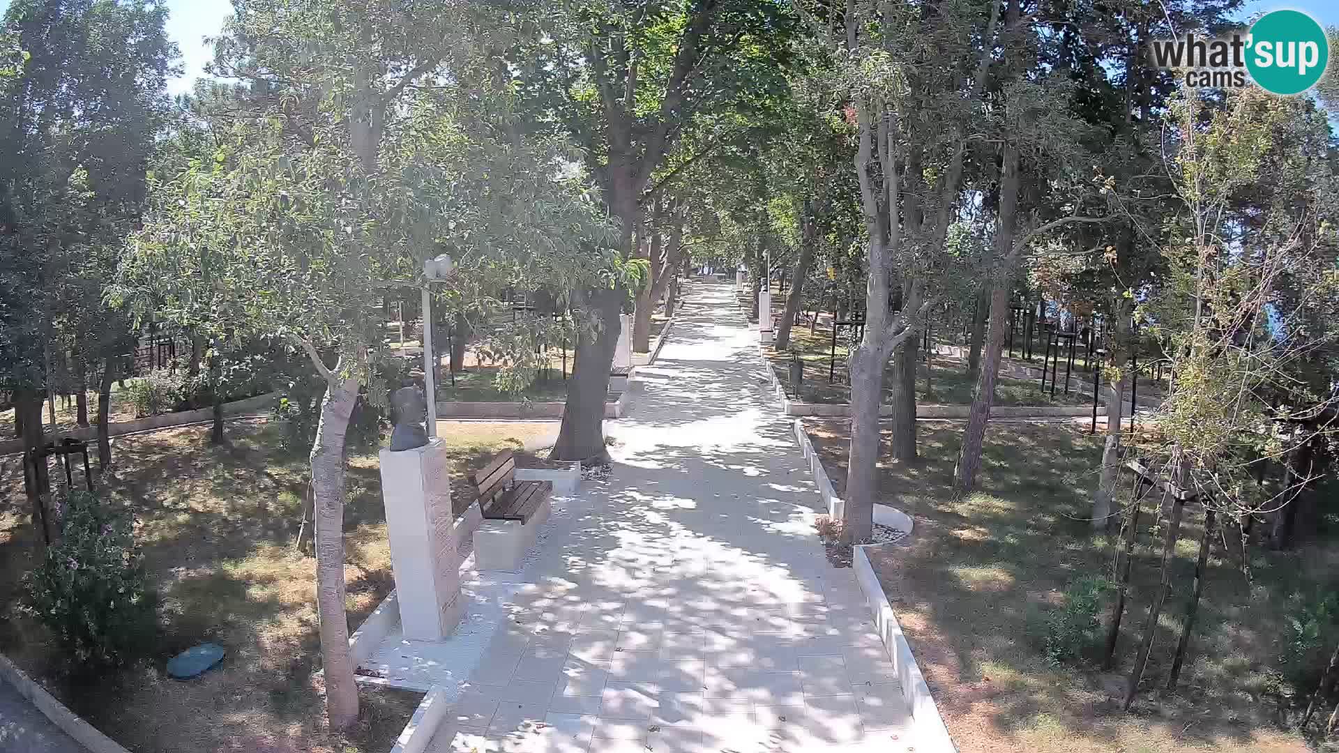 Webcam Parco degli Scrittori Segna – Diretta sul Mare