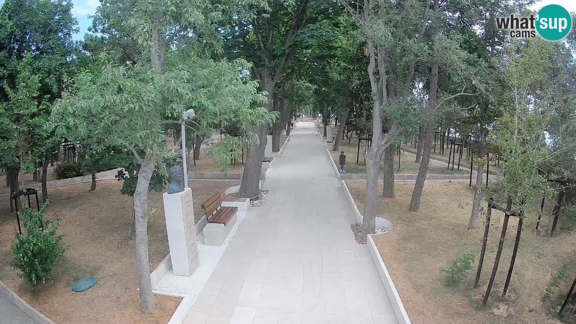 Webcam Parco degli Scrittori Segna – Diretta sul Mare