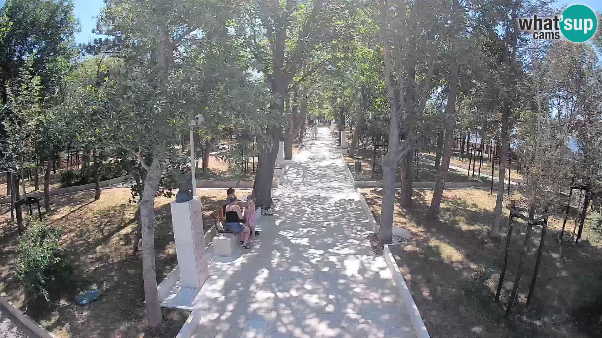 Webcam Parco degli Scrittori Segna – Diretta sul Mare