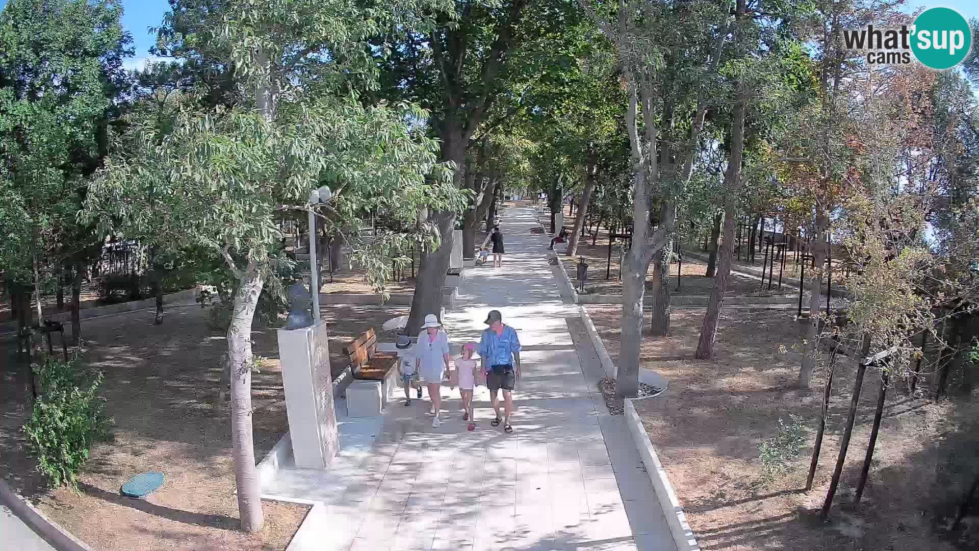Webcam Parco degli Scrittori Segna – Diretta sul Mare