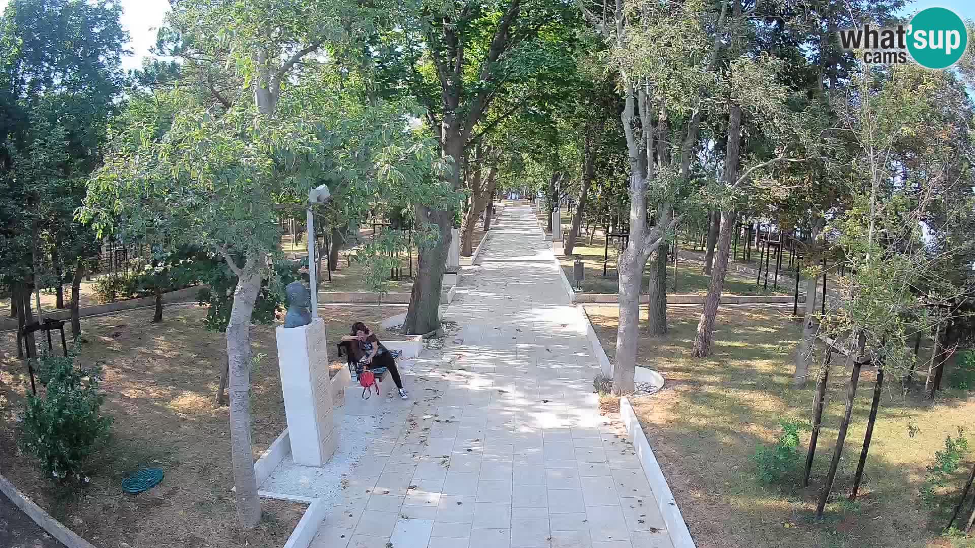 Webcam Parco degli Scrittori Segna – Diretta sul Mare