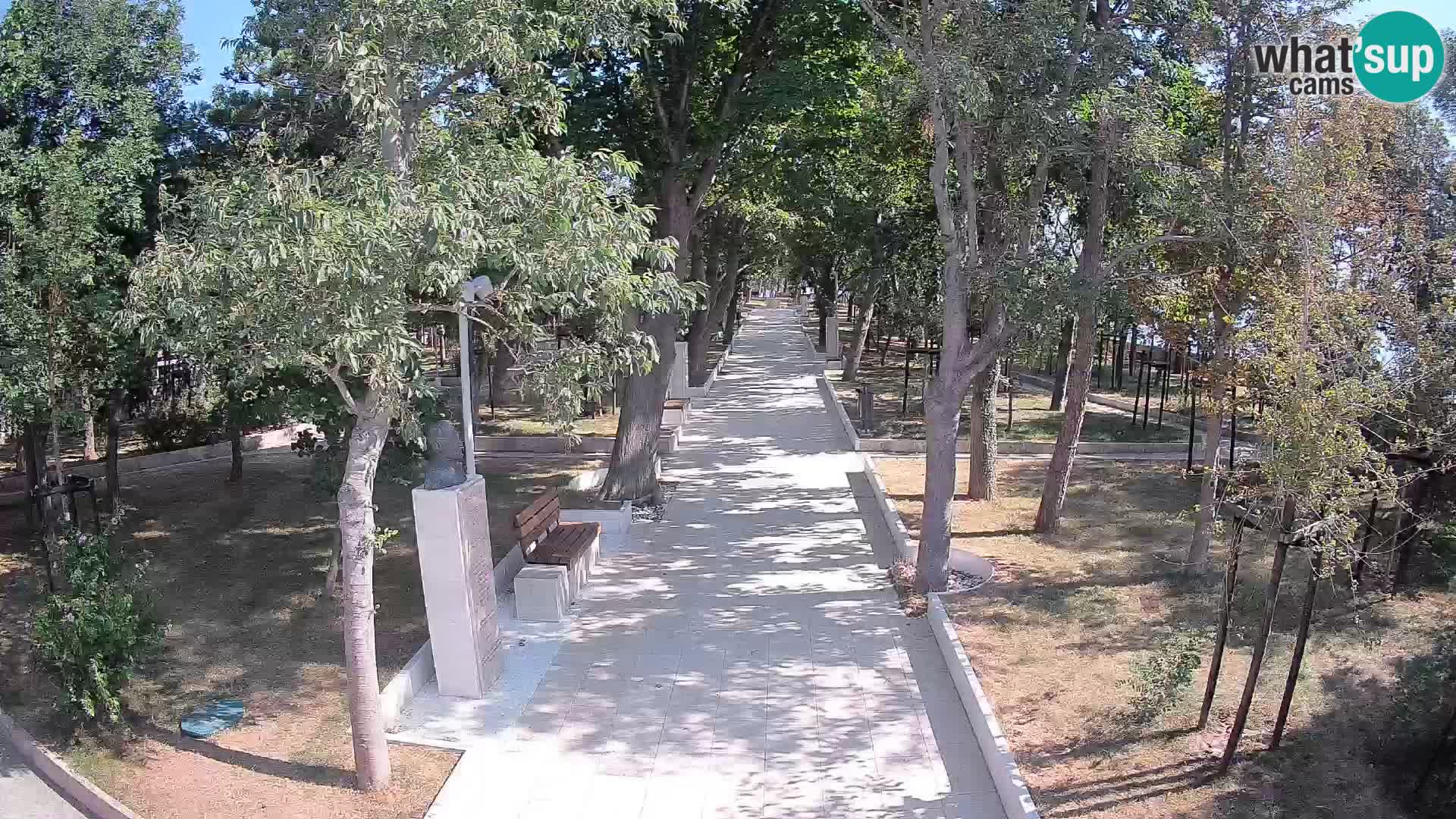 Webcam Parco degli Scrittori Segna – Diretta sul Mare