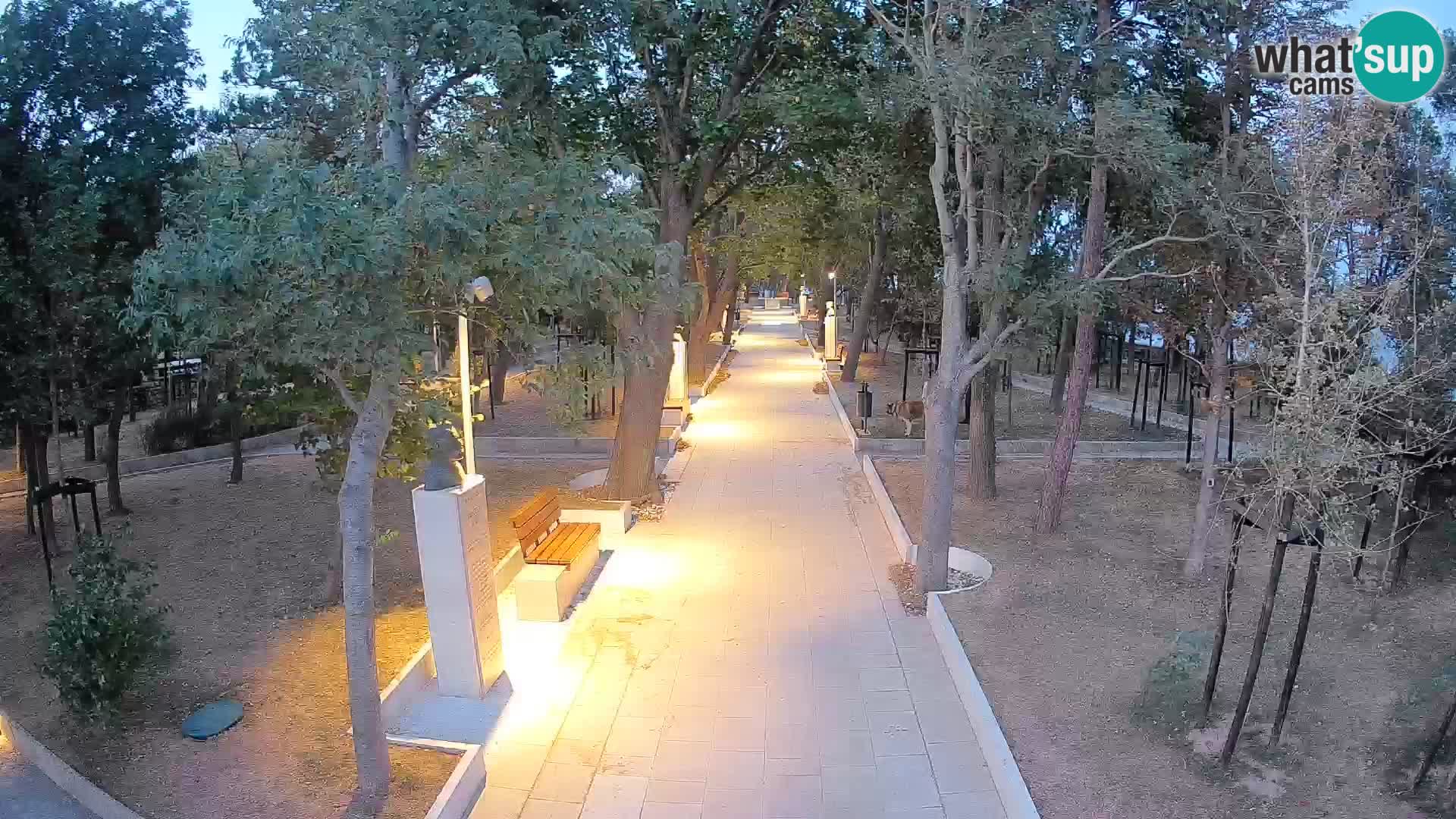 Webcam Parco degli Scrittori Segna – Diretta sul Mare