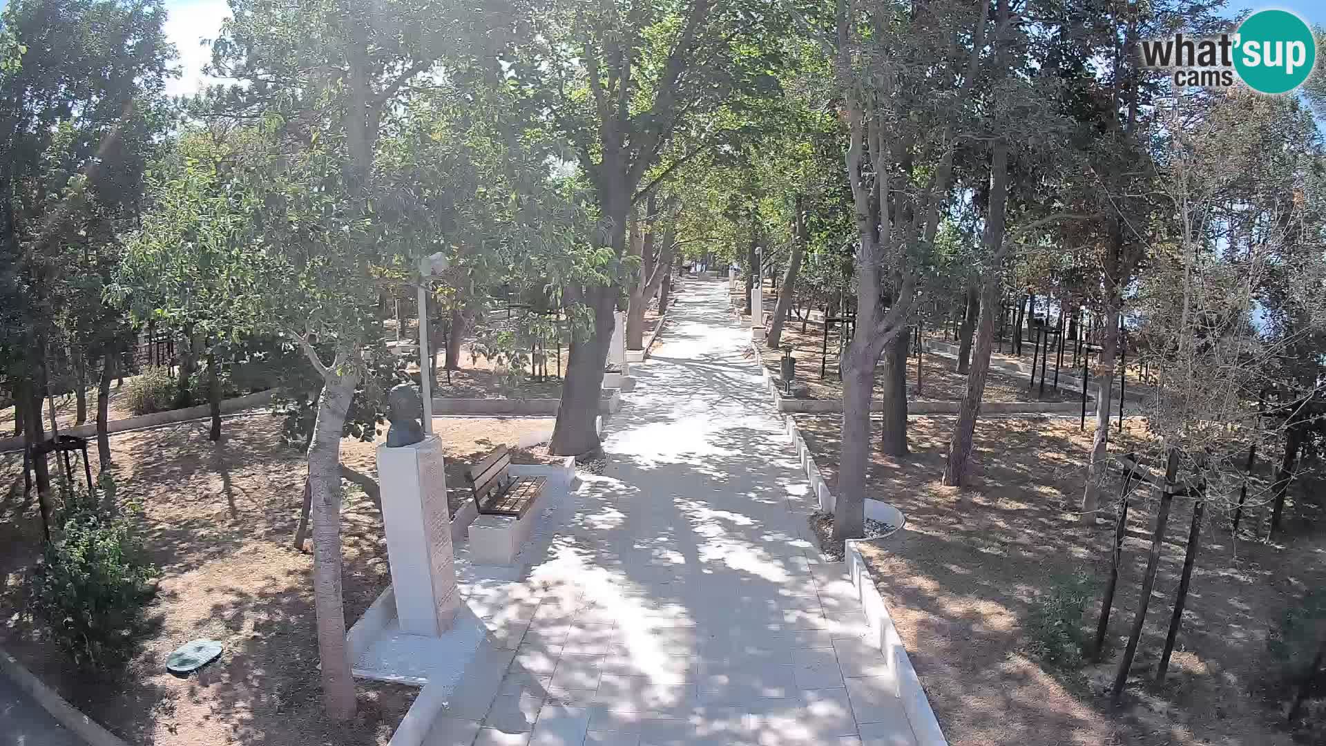 Webcam Parco degli Scrittori Segna – Diretta sul Mare