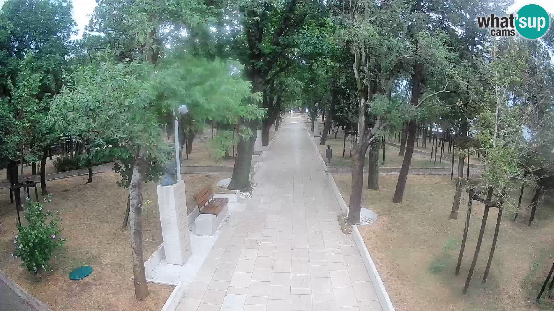 Webcam Parco degli Scrittori Segna – Diretta sul Mare
