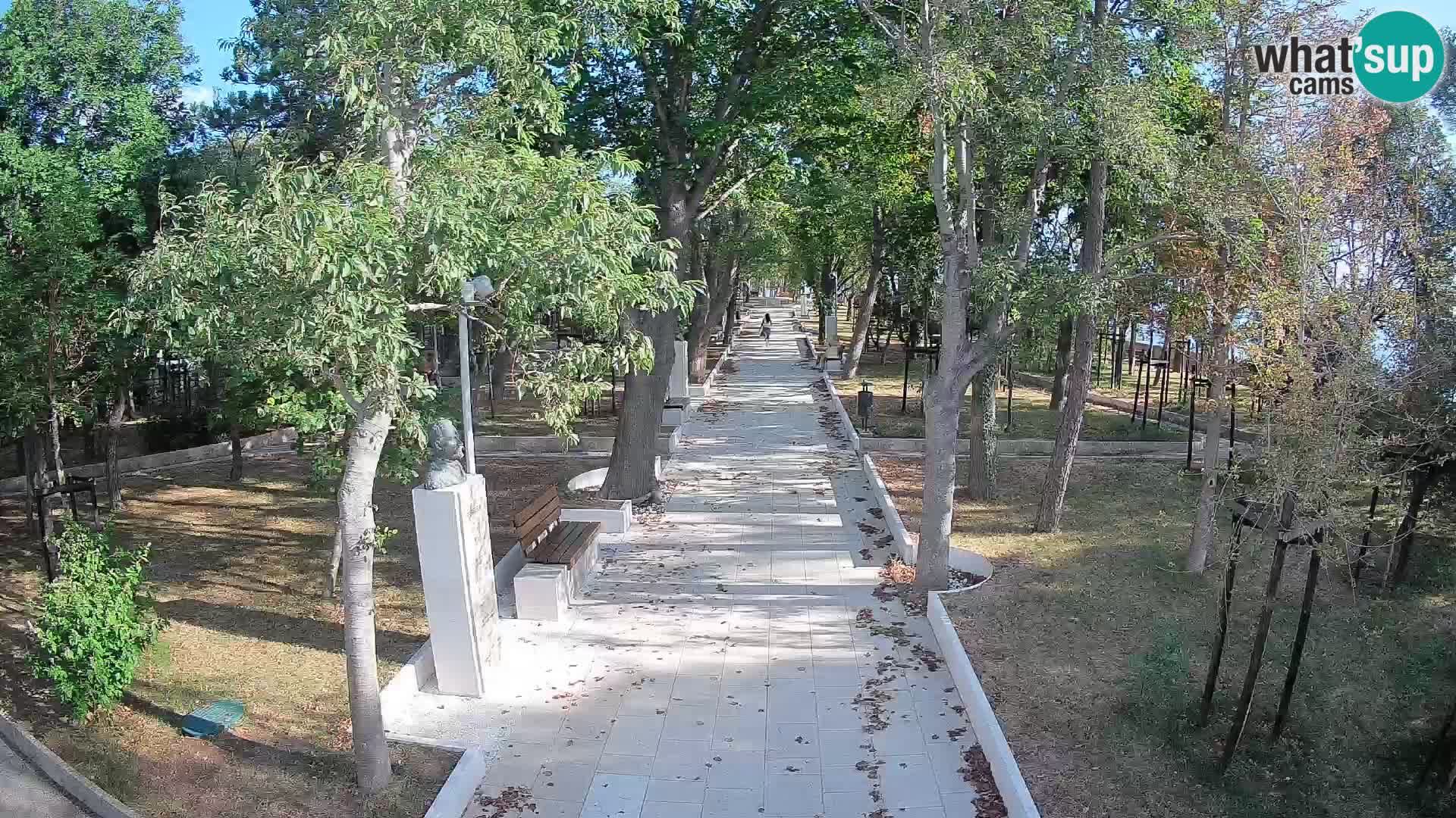Webcam Parco degli Scrittori Segna – Diretta sul Mare