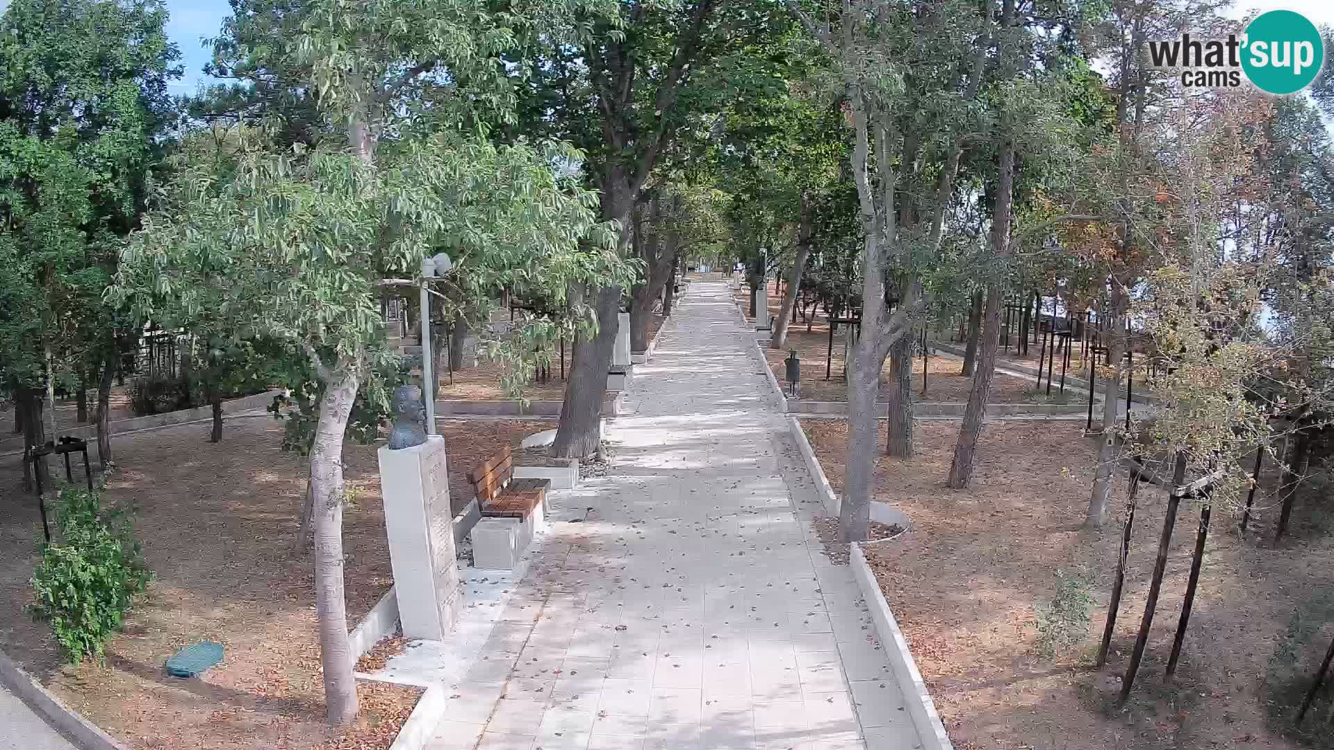 Webcam Parco degli Scrittori Segna – Diretta sul Mare