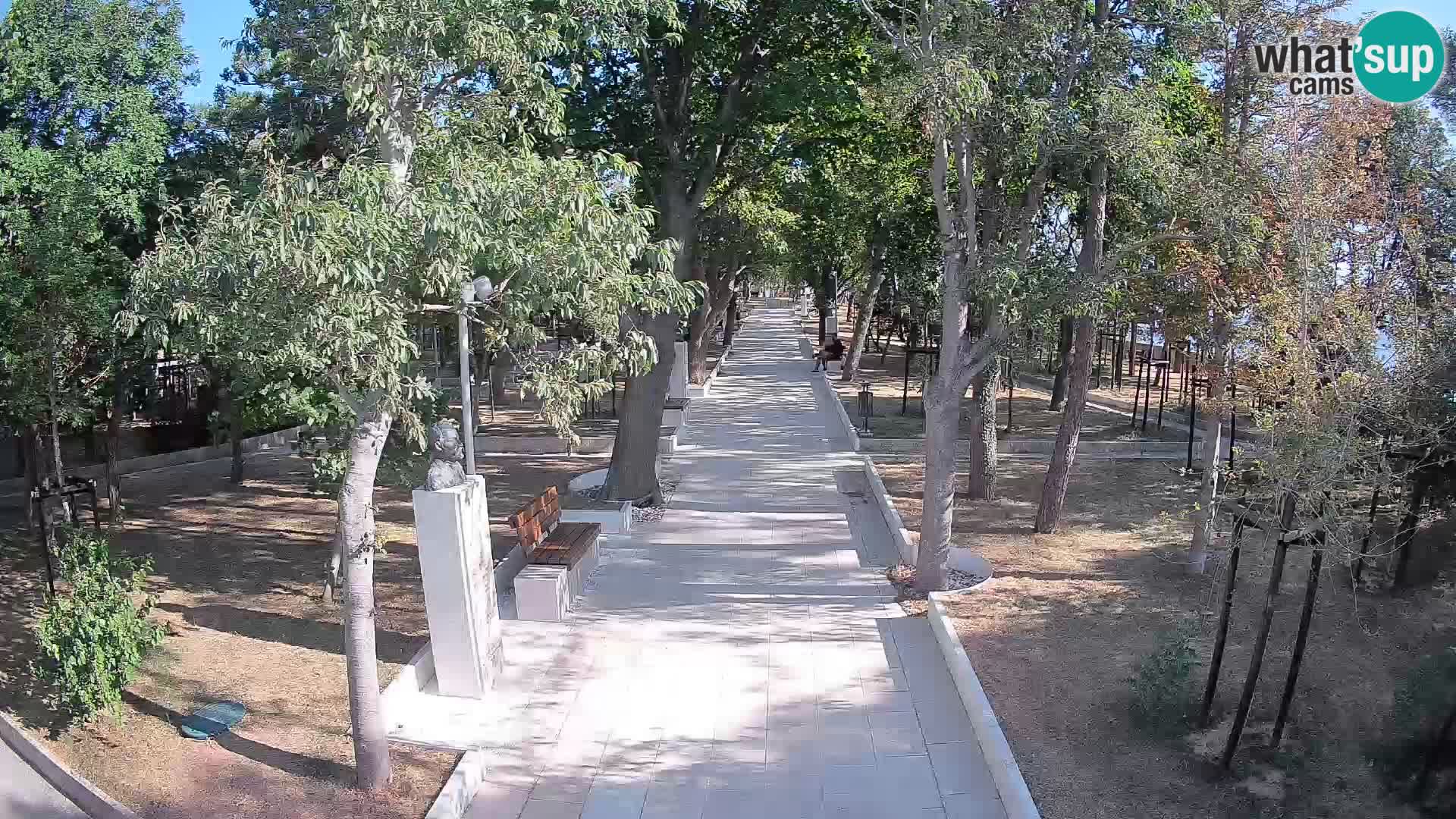 Webcam Parco degli Scrittori Segna – Diretta sul Mare