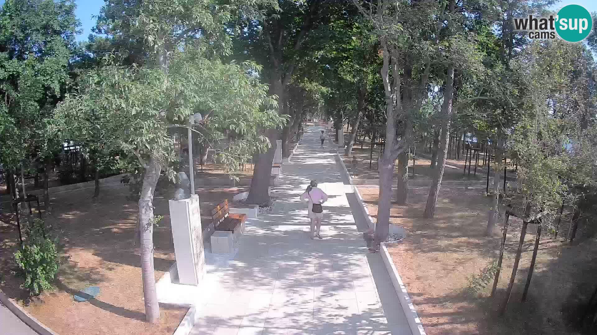 Webcam Parco degli Scrittori Segna – Diretta sul Mare