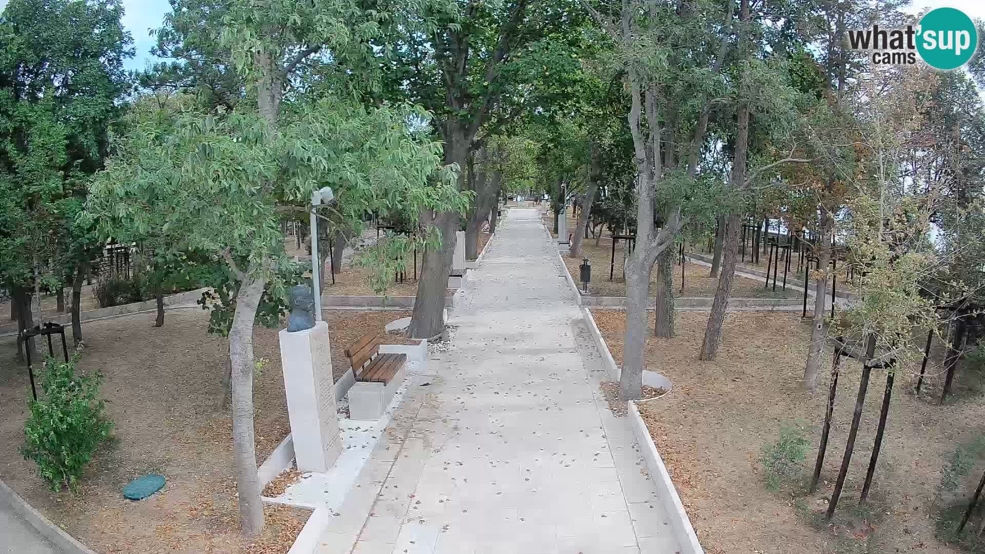 Webcam Parco degli Scrittori Segna – Diretta sul Mare