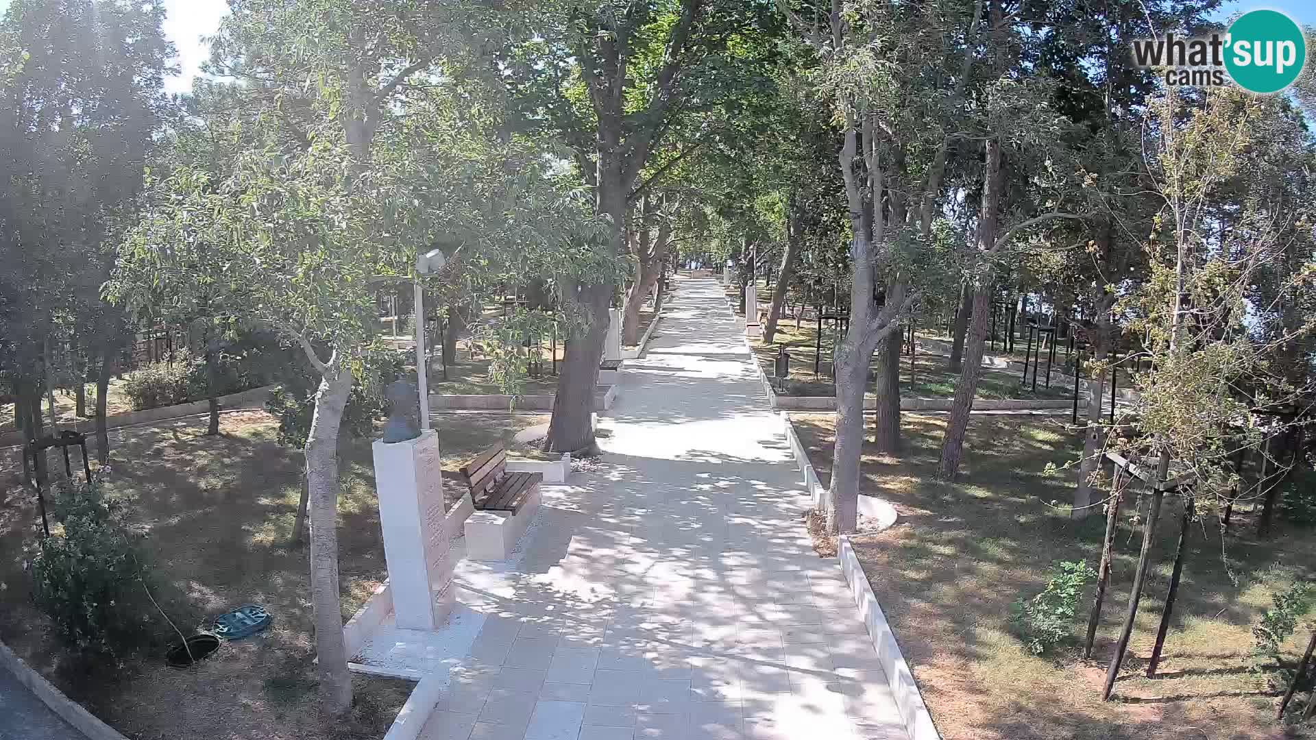 Webcam Parco degli Scrittori Segna – Diretta sul Mare