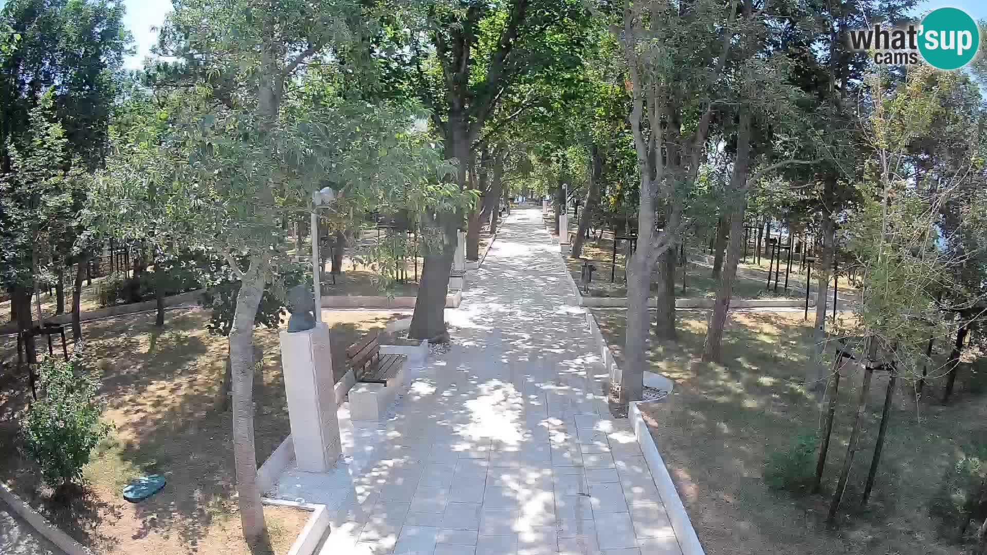 Webcam Parco degli Scrittori Segna – Diretta sul Mare