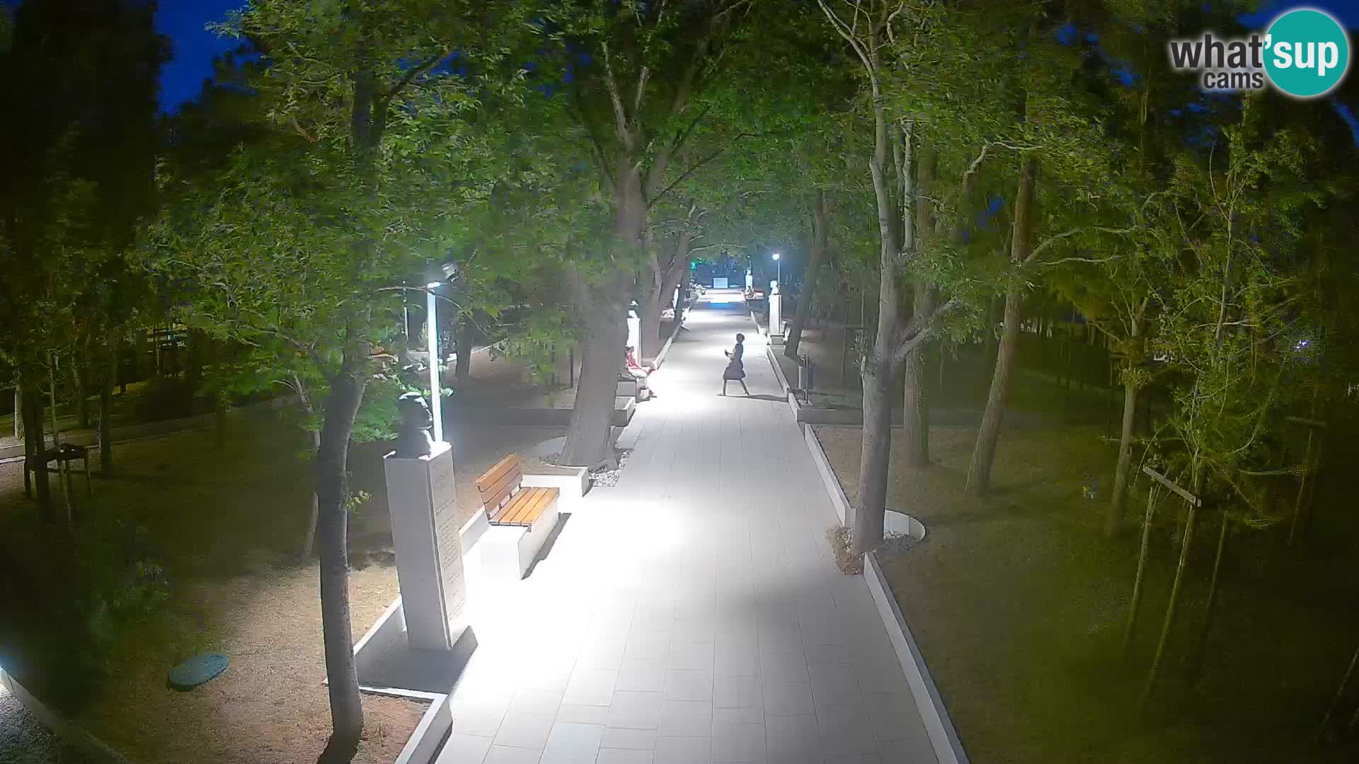 Webcam Parco degli Scrittori Segna – Diretta sul Mare