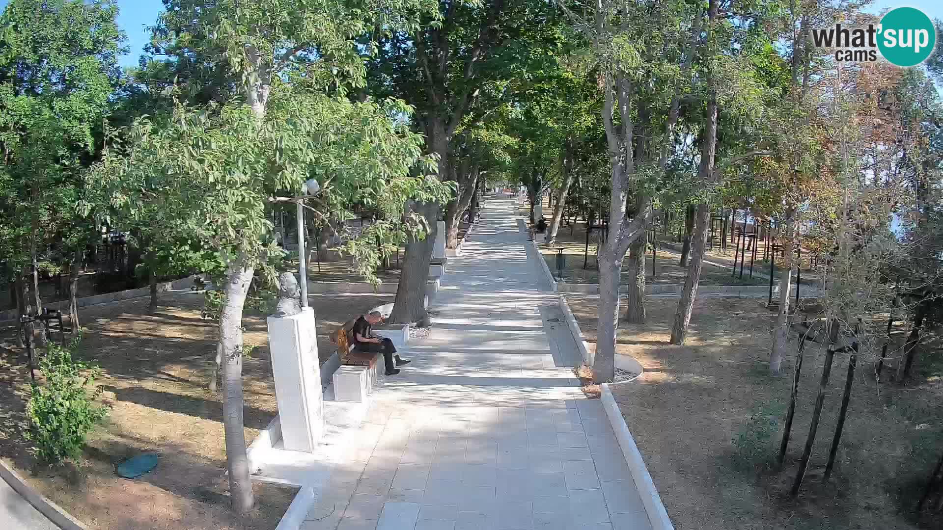 Webcam Parco degli Scrittori Segna – Diretta sul Mare