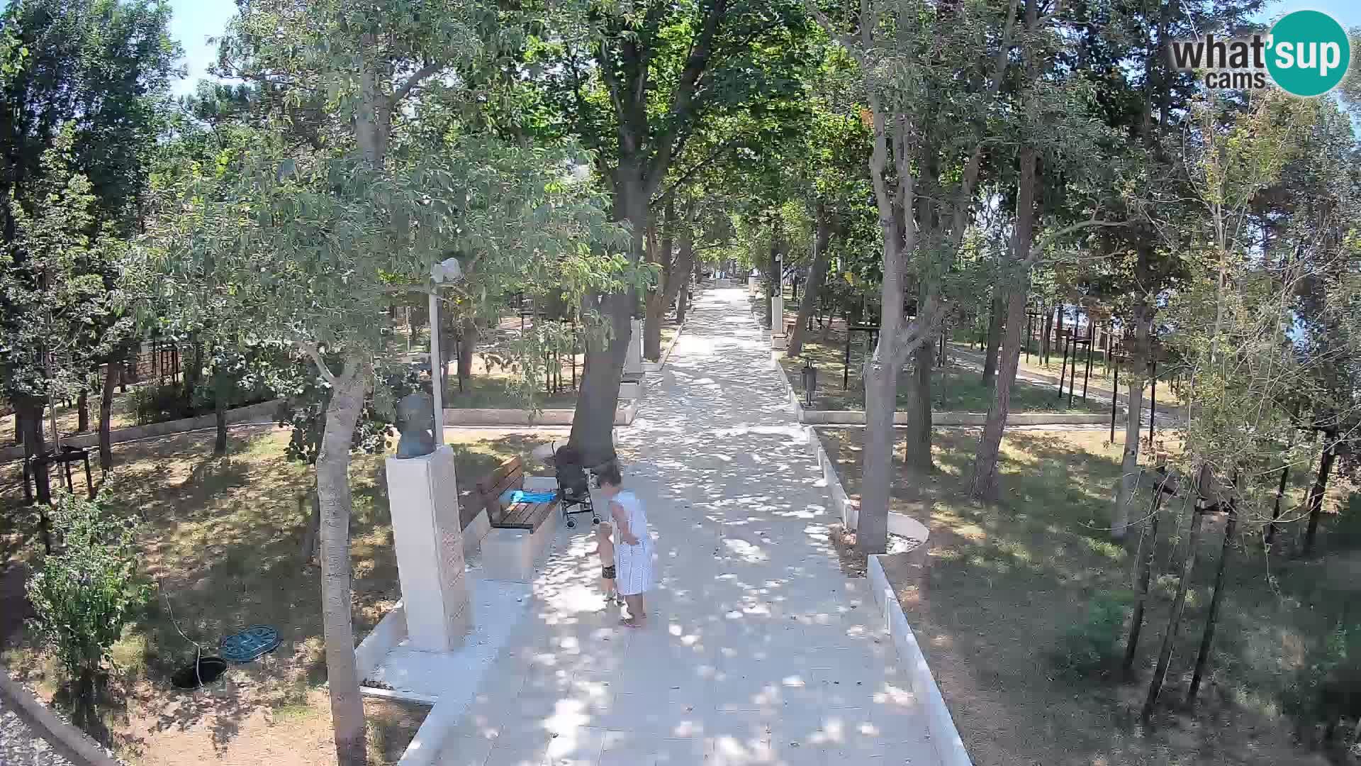 Webcam Parco degli Scrittori Segna – Diretta sul Mare