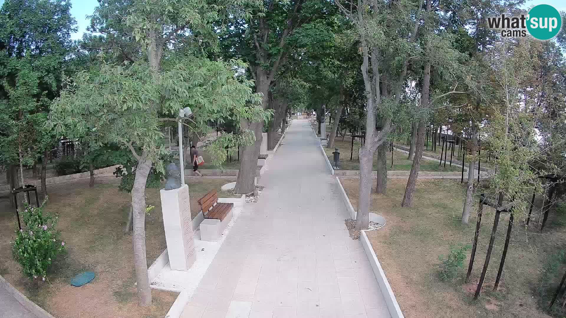 Webcam Parco degli Scrittori Segna – Diretta sul Mare