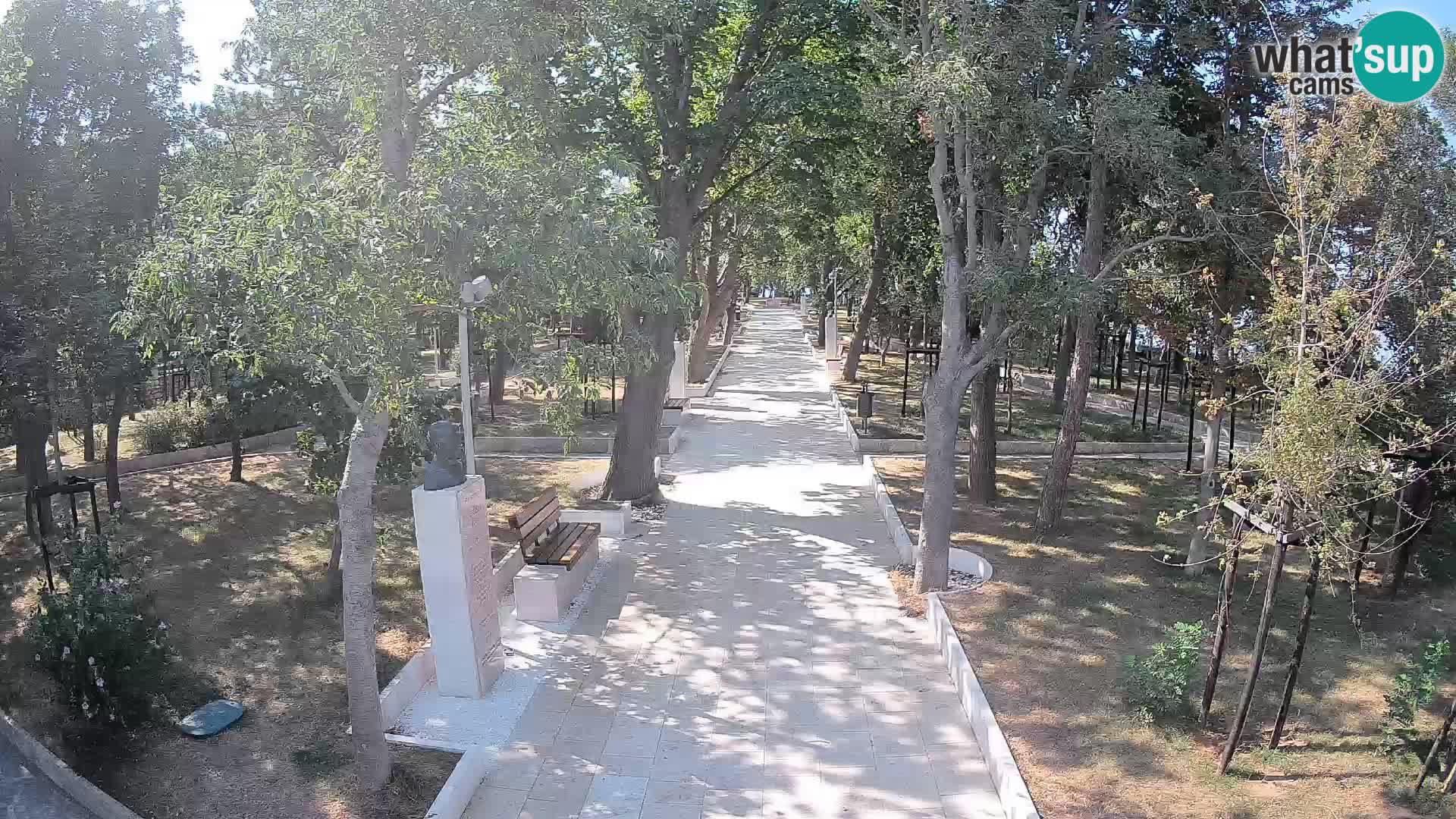 Webcam Parco degli Scrittori Segna – Diretta sul Mare