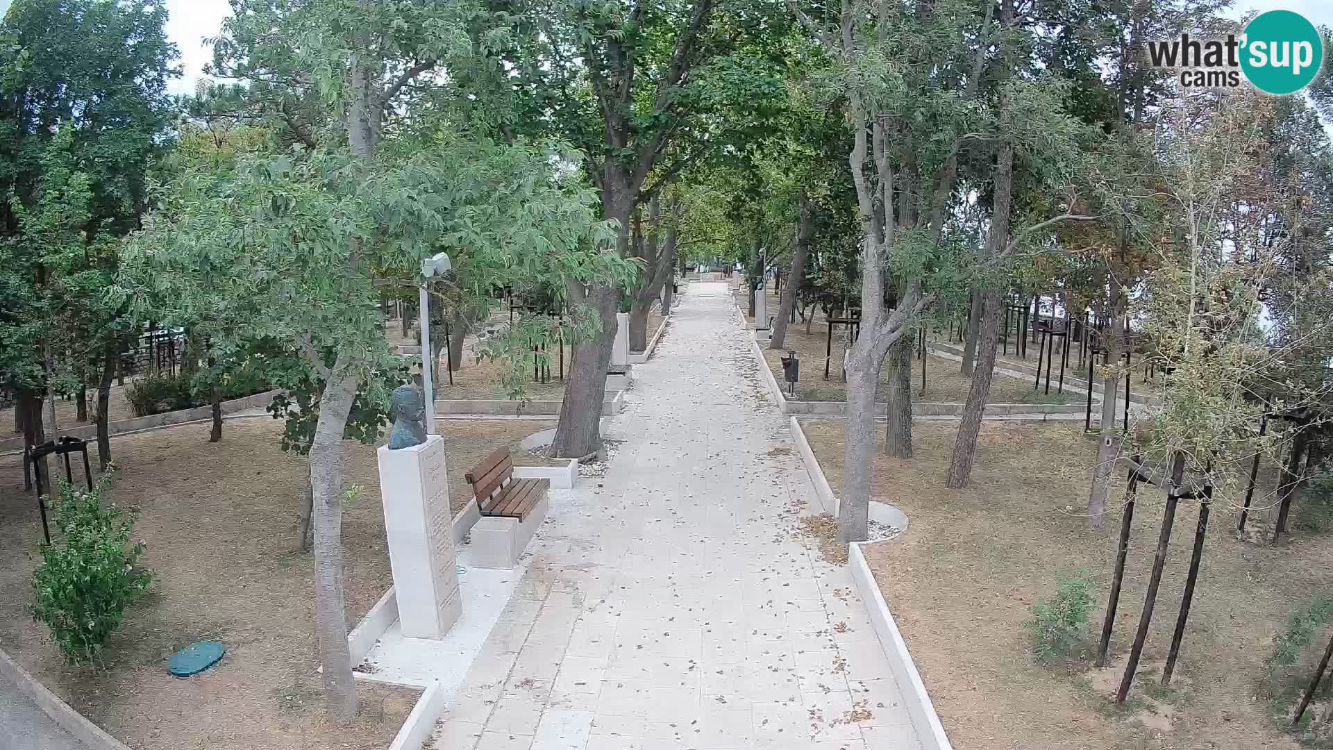 Webcam Parco degli Scrittori Segna – Diretta sul Mare