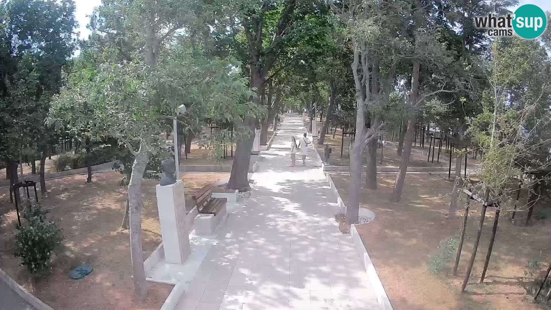 Webcam Parco degli Scrittori Segna – Diretta sul Mare