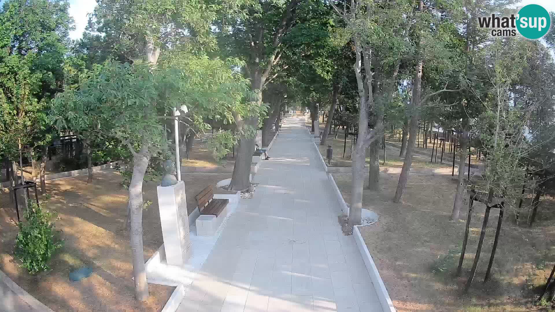 Webcam Parco degli Scrittori Segna – Diretta sul Mare