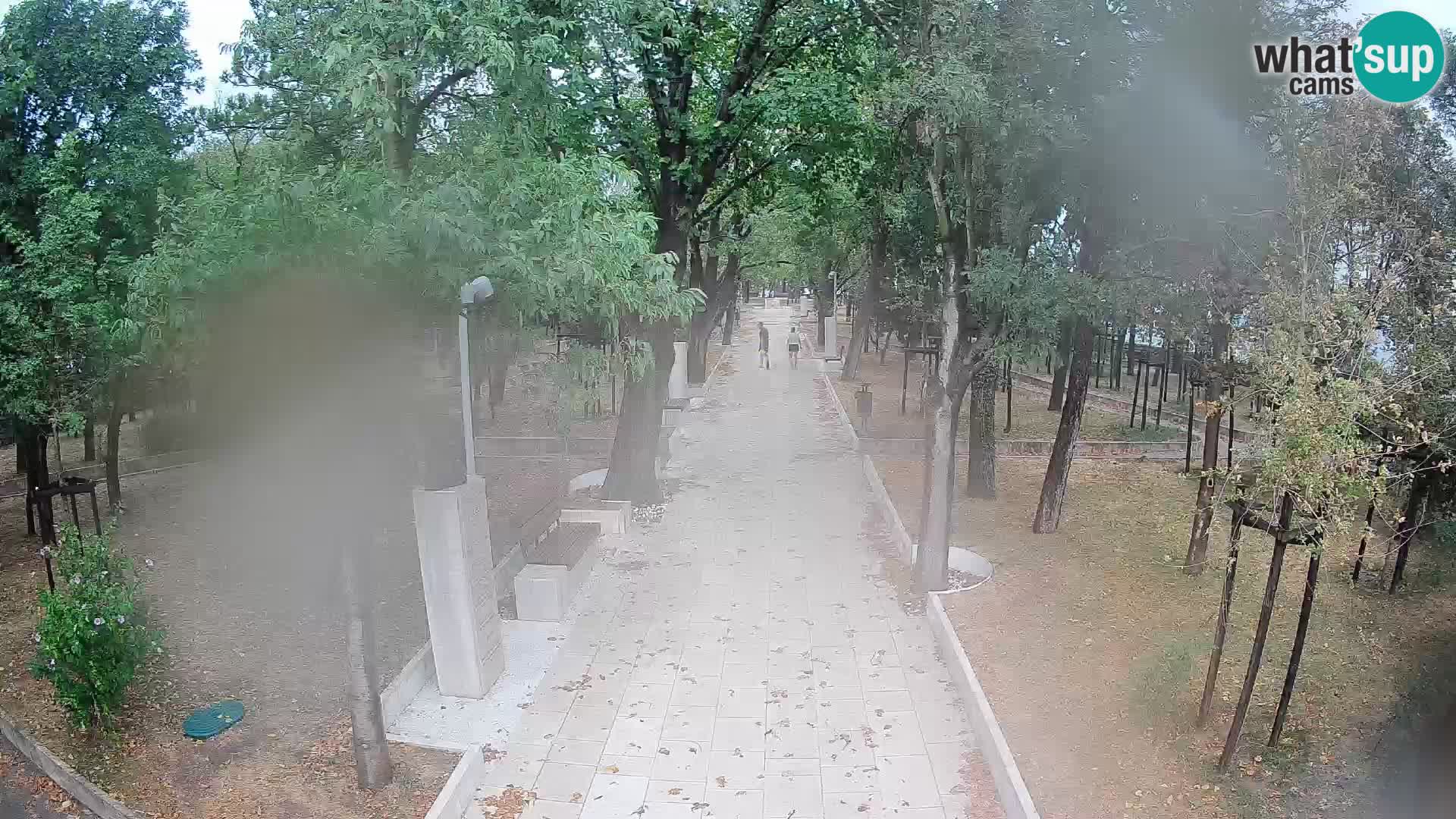 Webcam Schriftstellerpark Senj – Live am Meer