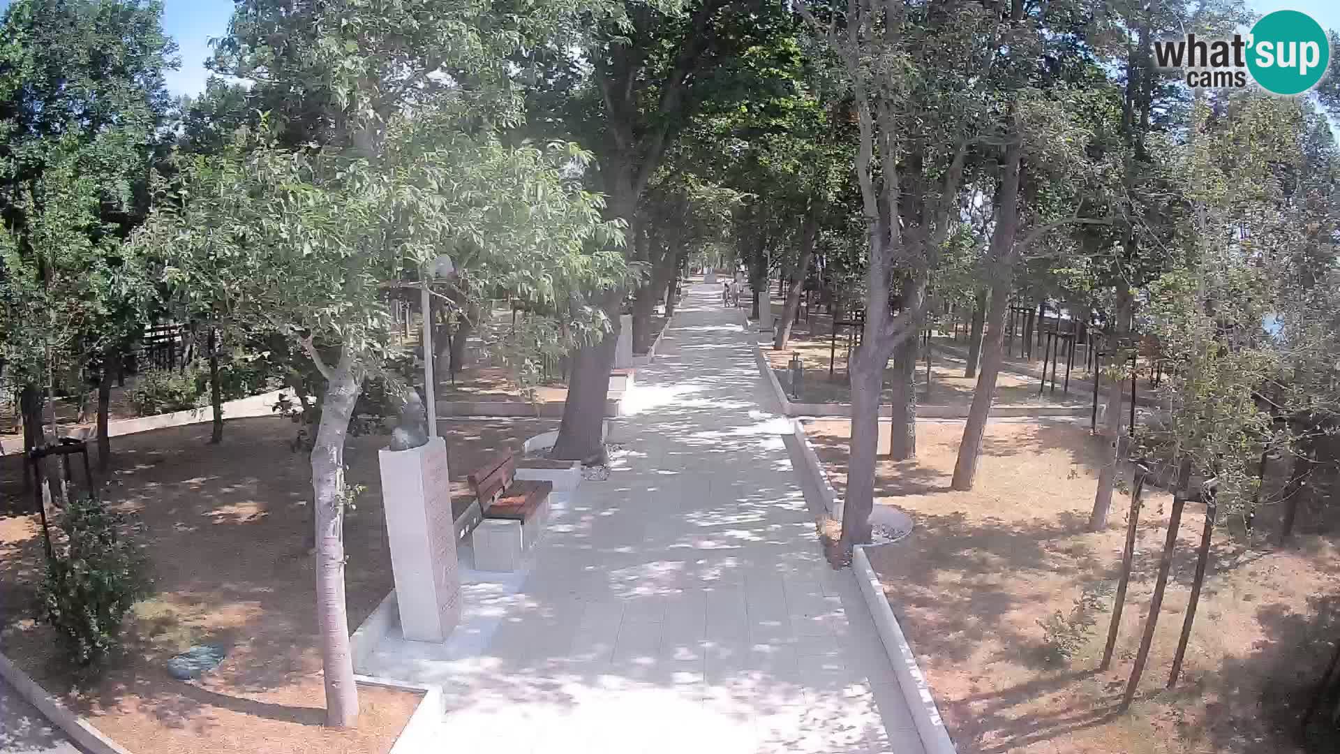 Webcam Parco degli Scrittori Segna – Diretta sul Mare